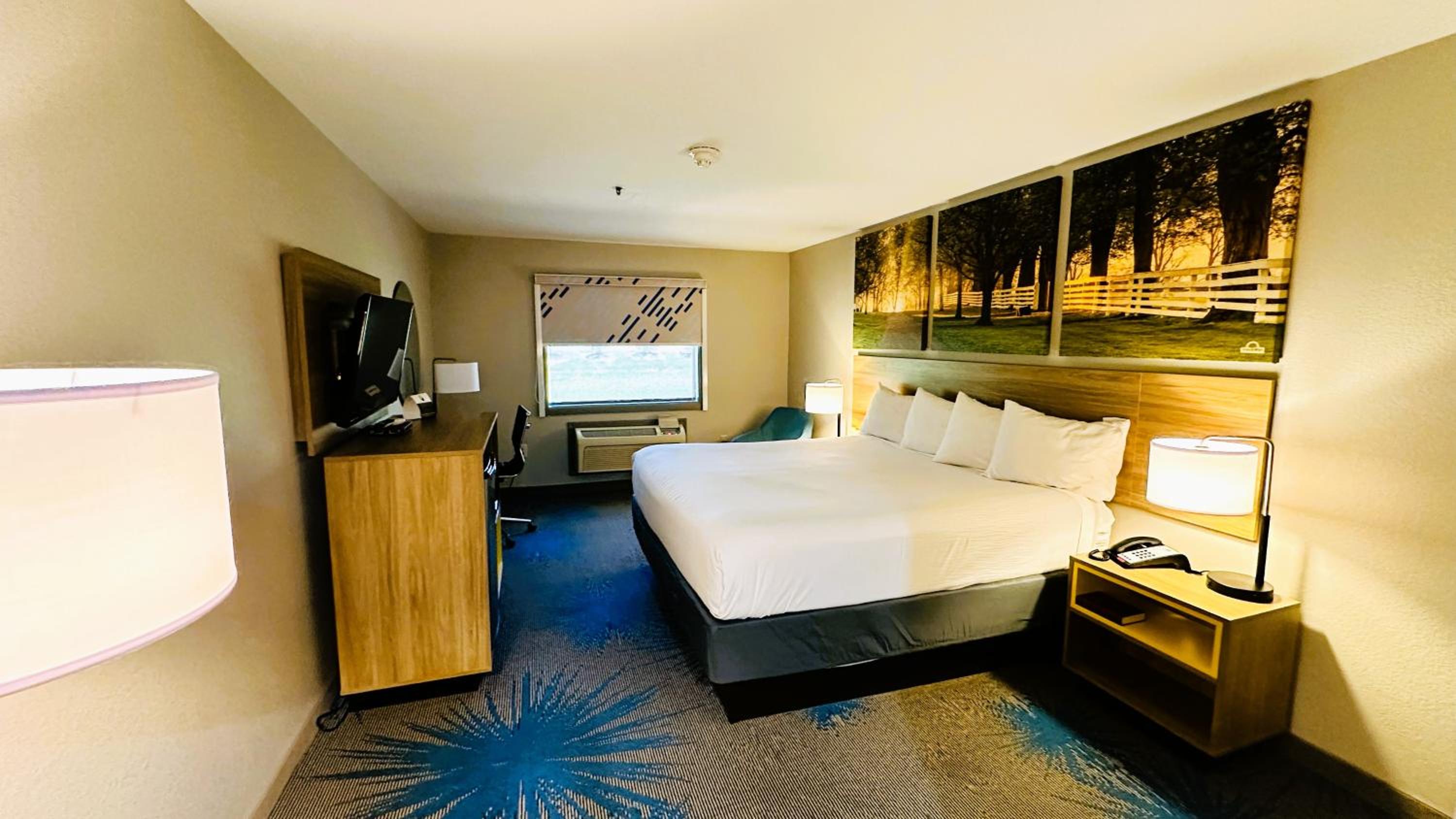 King Room - Non-Smoking - Photo 4