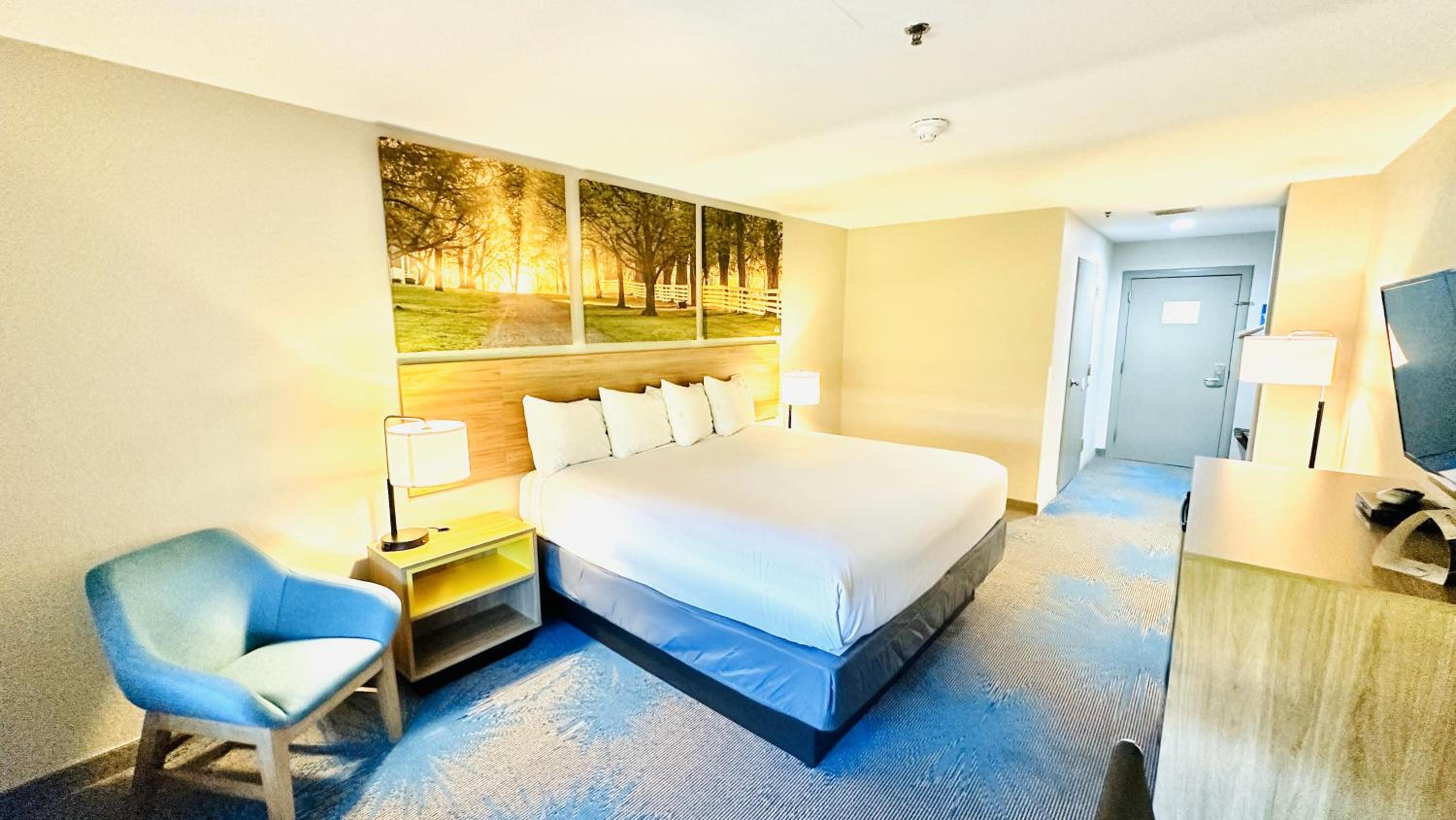 King Room - Non-Smoking - Photo 1