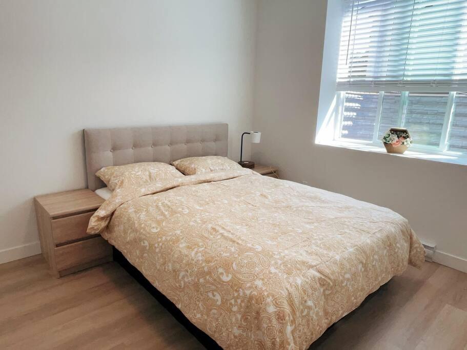 One-Bedroom Apartment photo 3