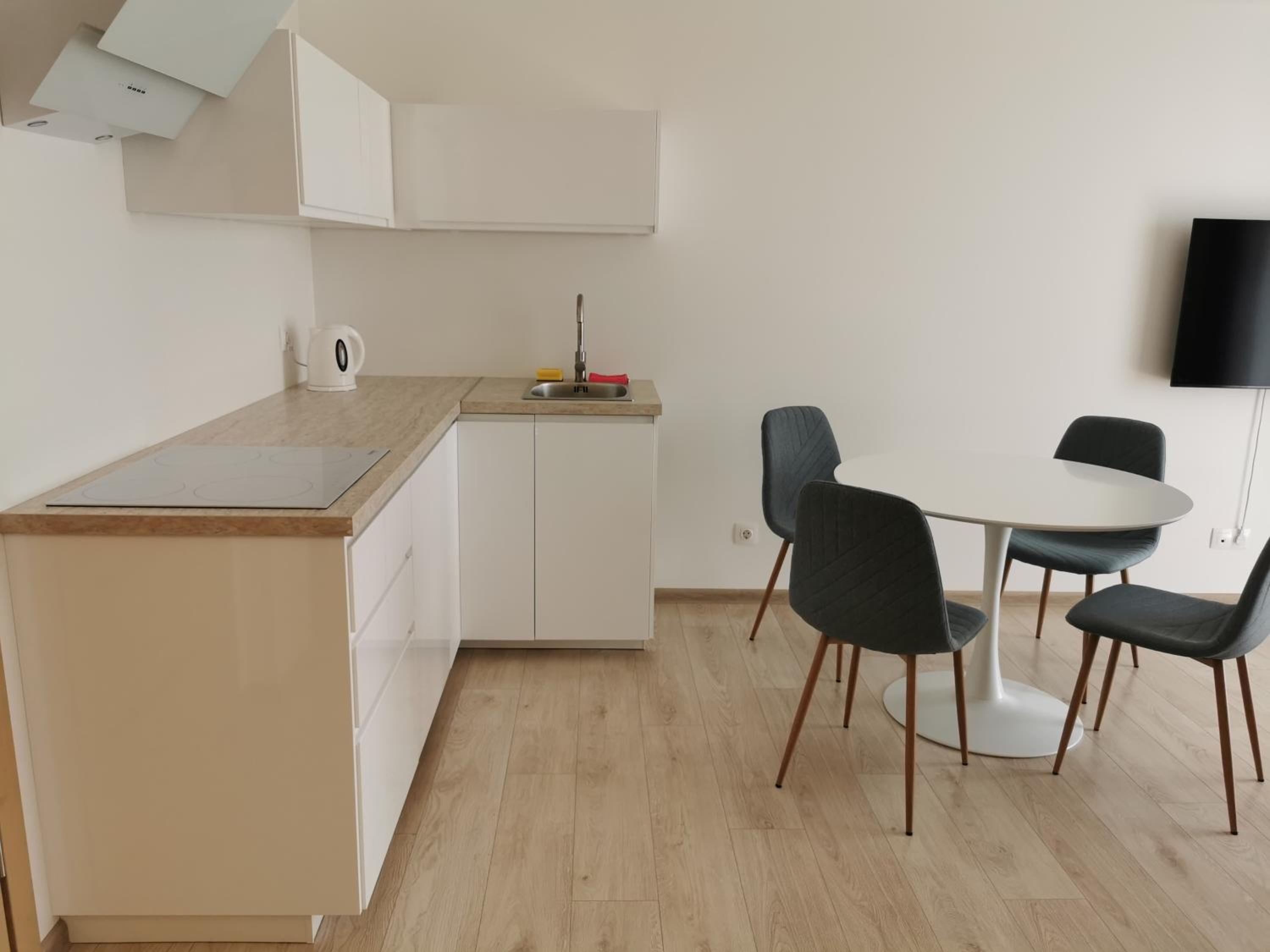One-Bedroom Apartment photo 2