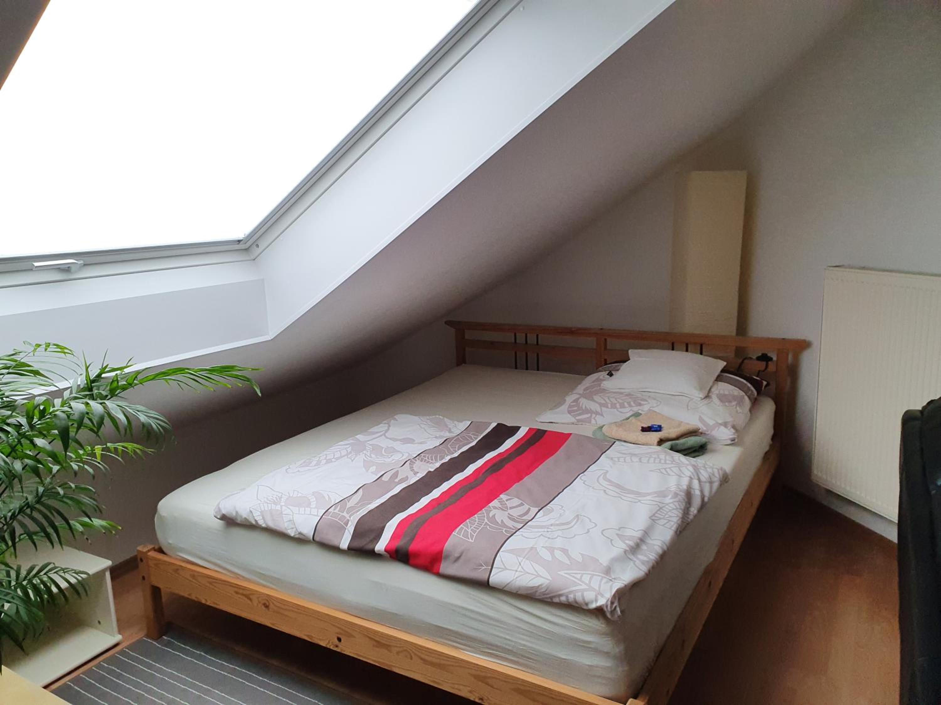 Double Room with Shared Bathroom photo 1