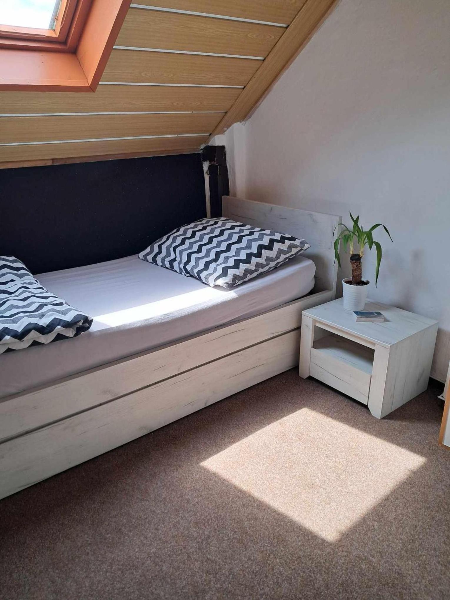 Single Room photo 2