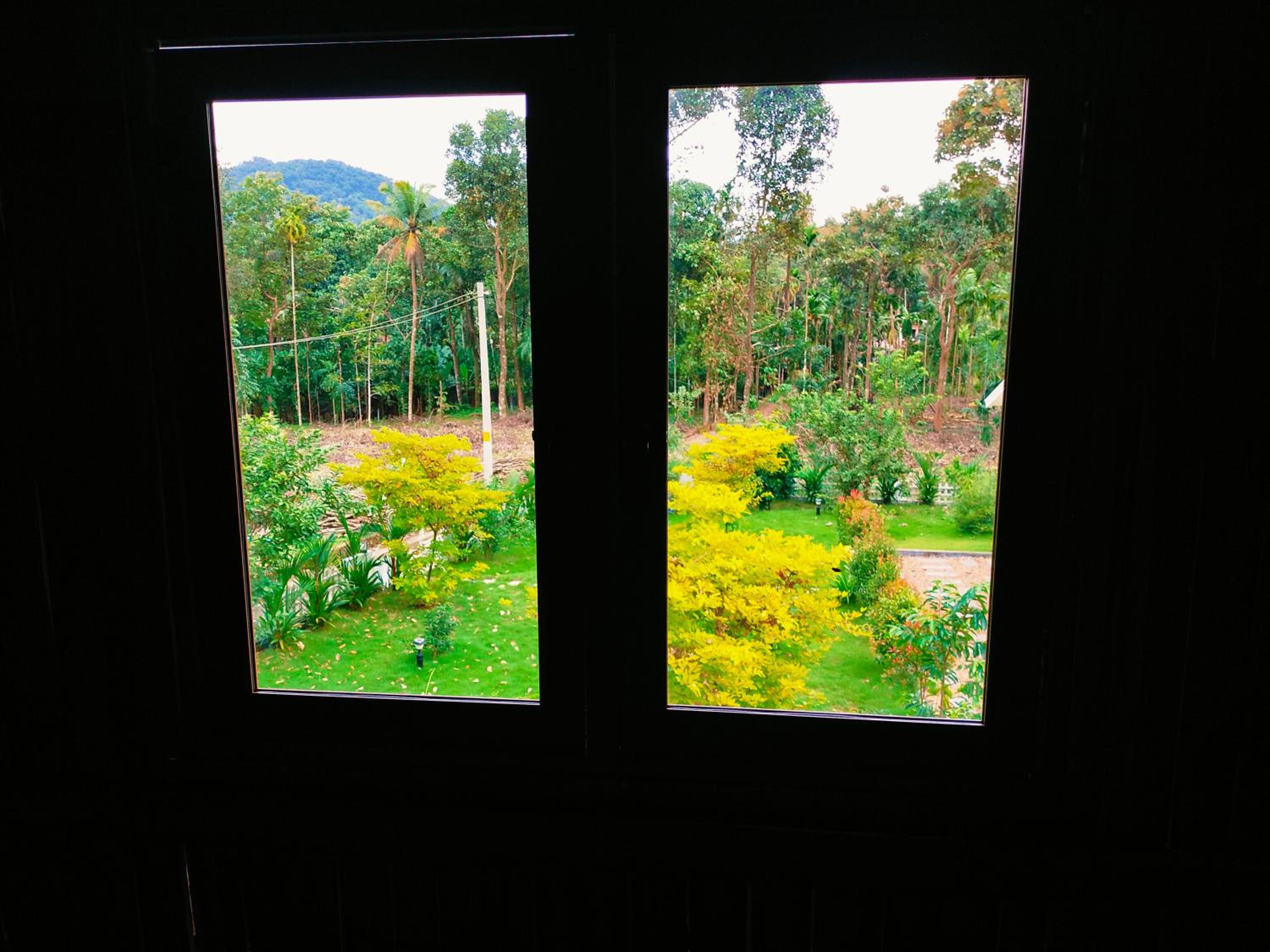 Double or Twin Room with Balcony photo 3