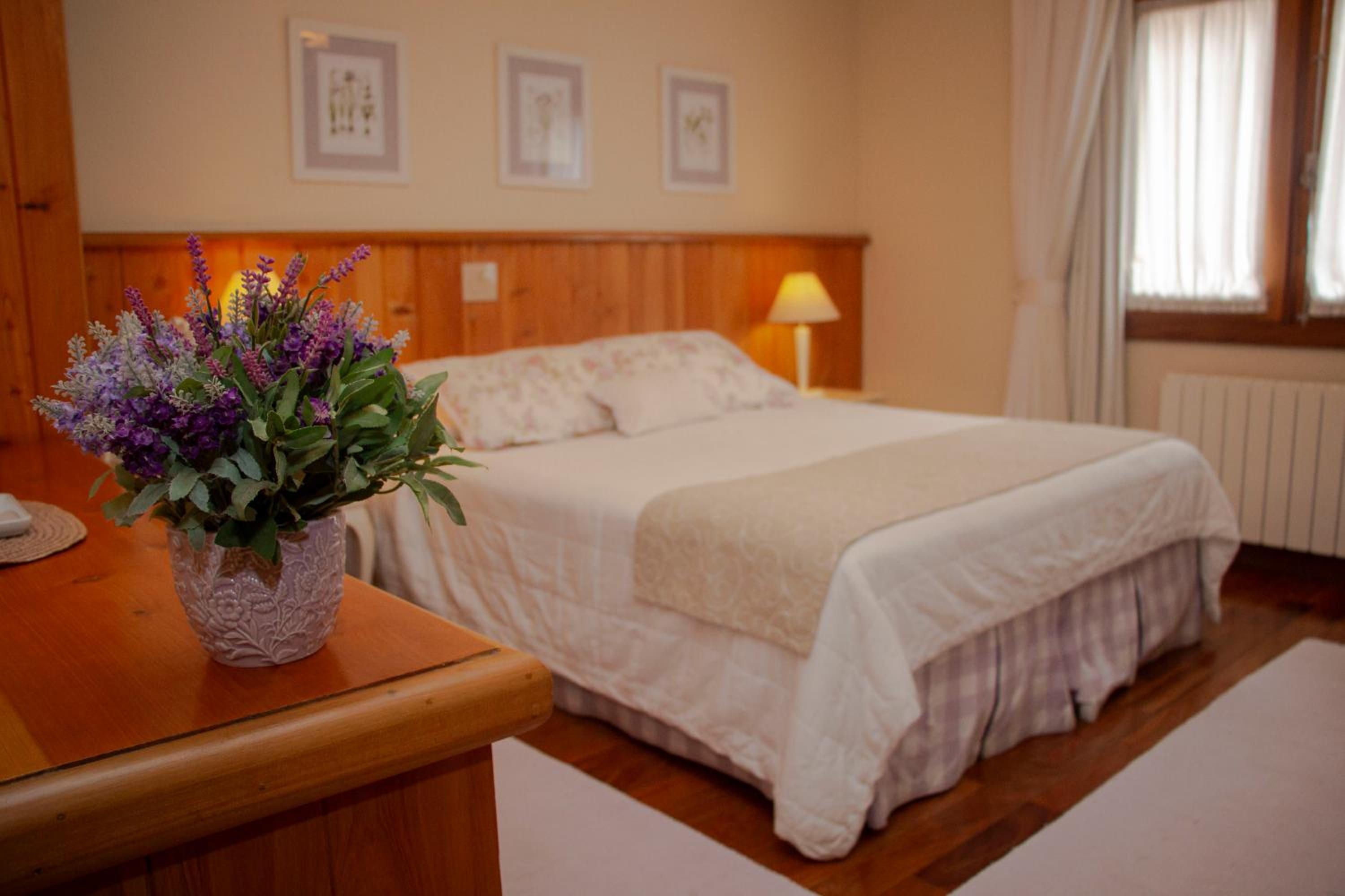 Deluxe Room photo 3