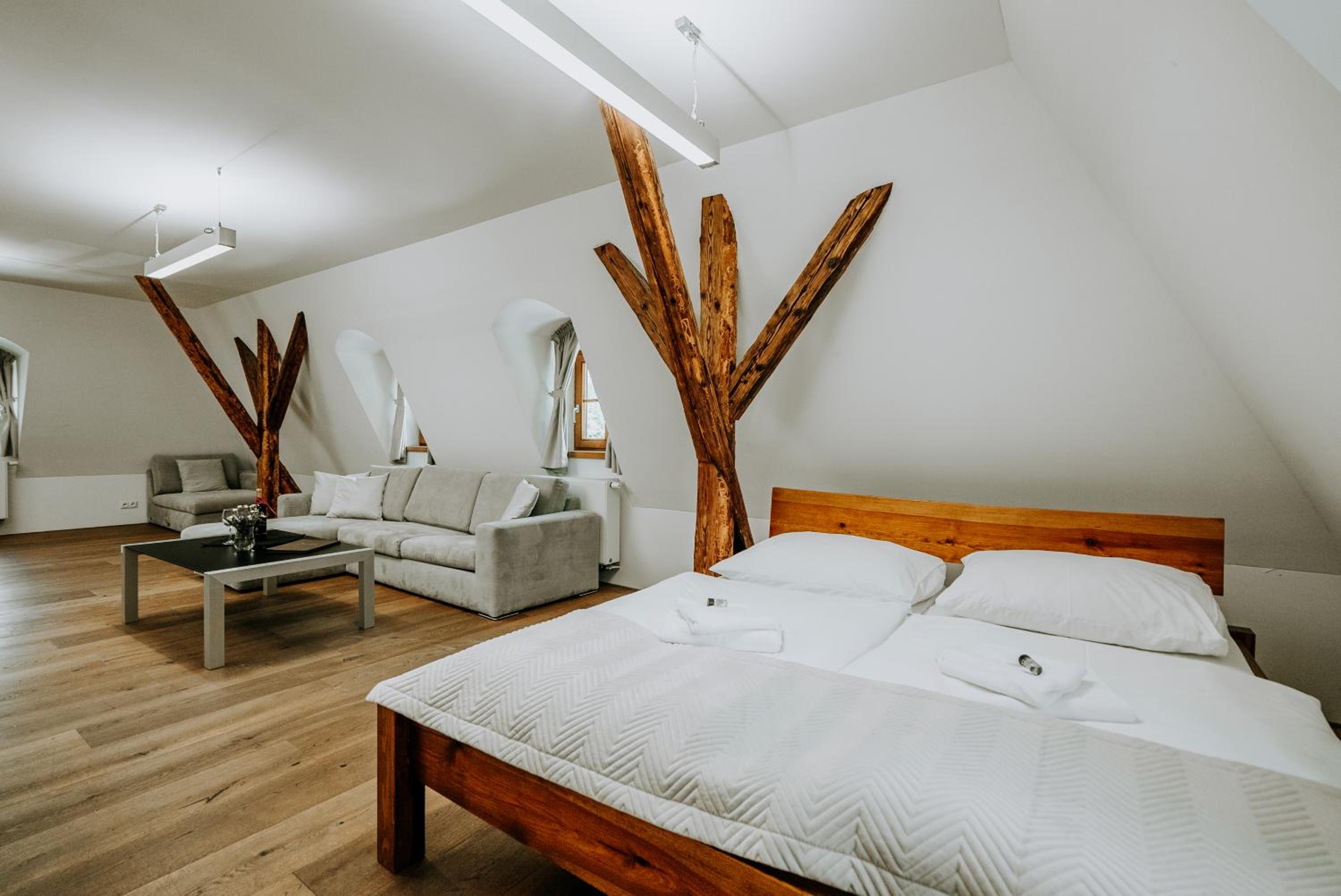Deluxe Apartment