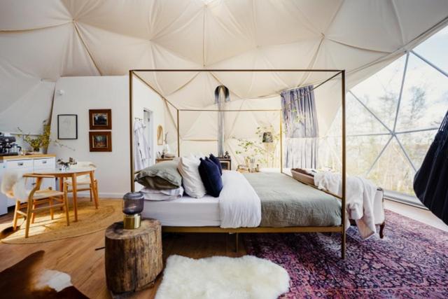 Tent photo 3