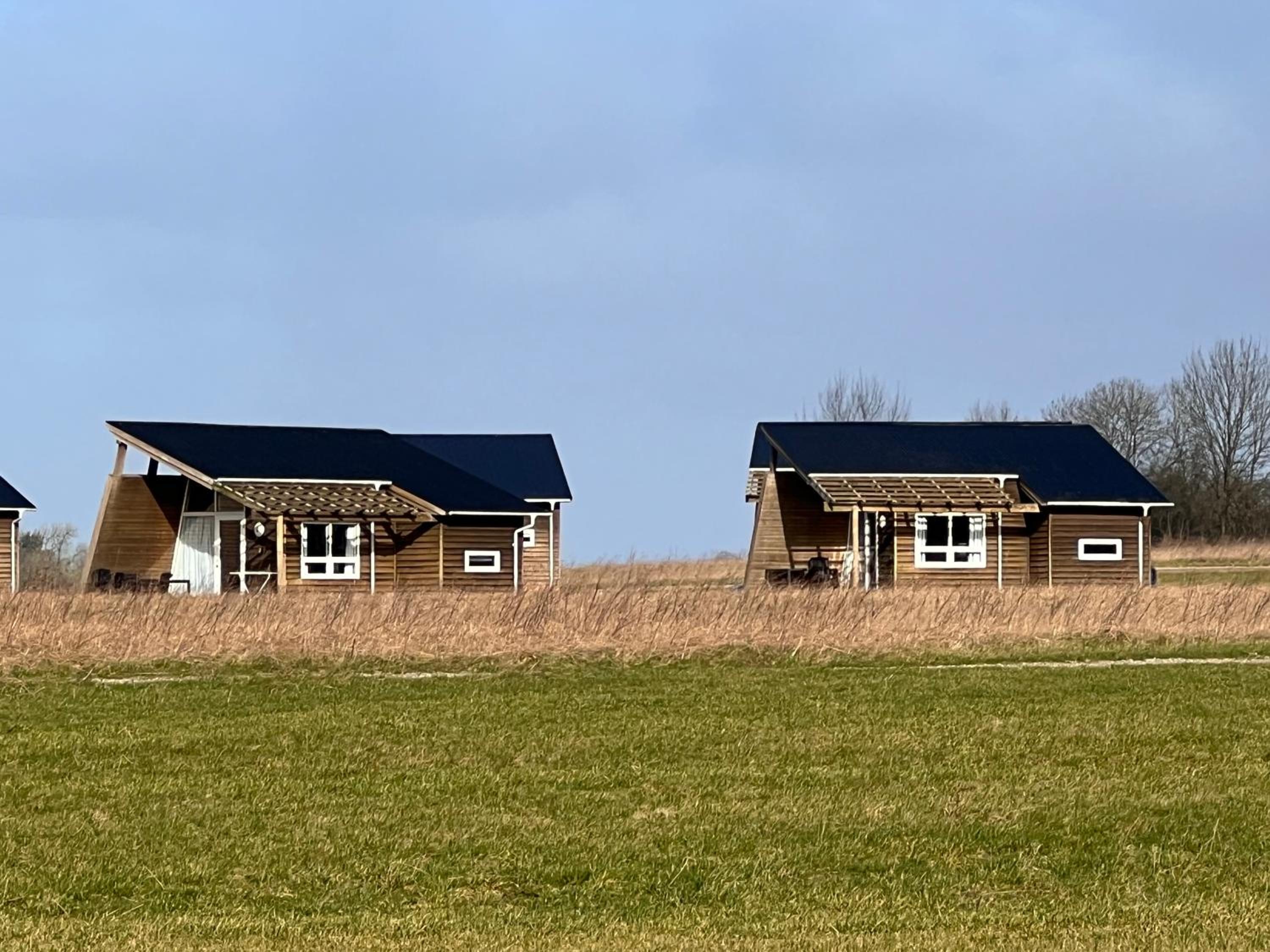 Cabin Standard