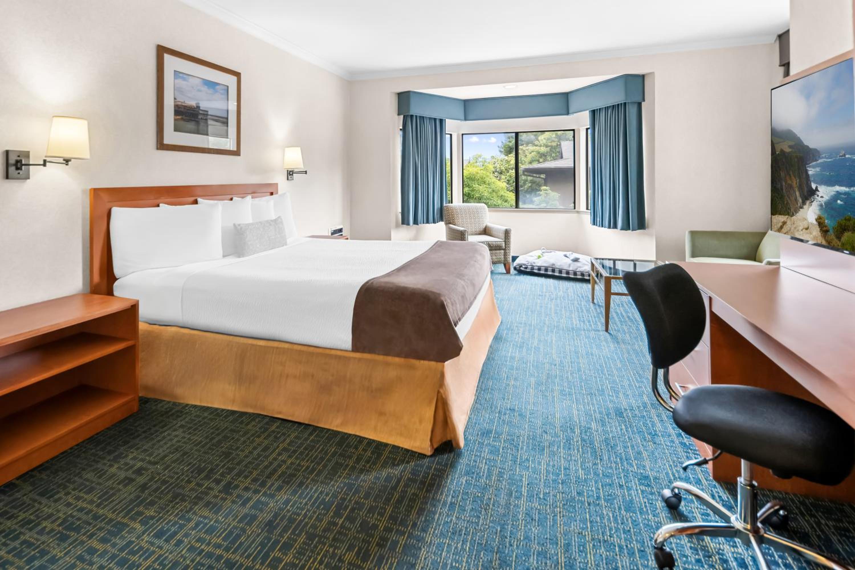 King Room - Pet Friendly/Non-Smoking - Photo 1