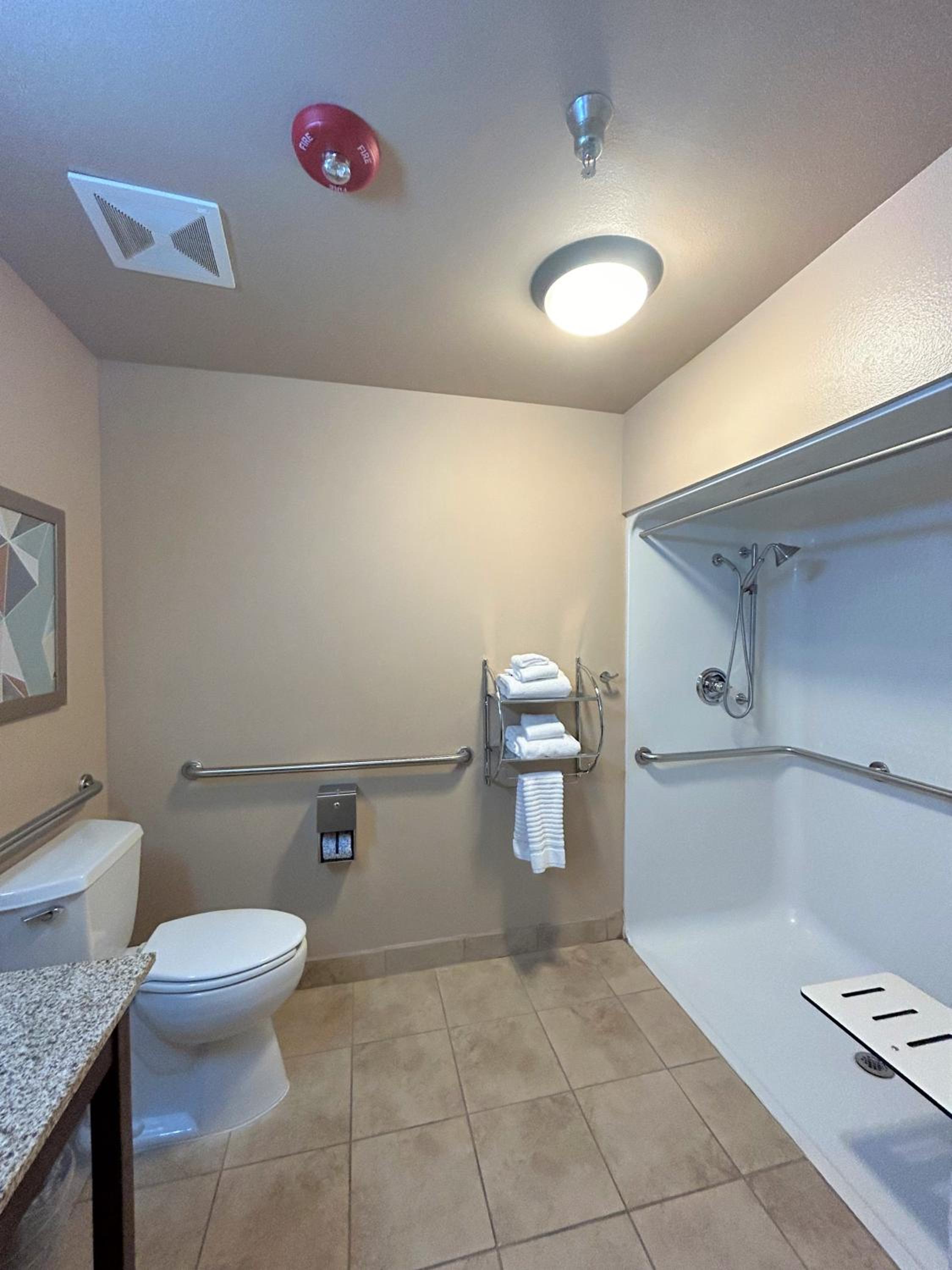 Queen Room with Roll-In Shower - Accessible/Non Smoking - Photo 4