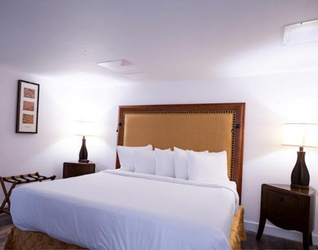 Executive Suite - Photo 5