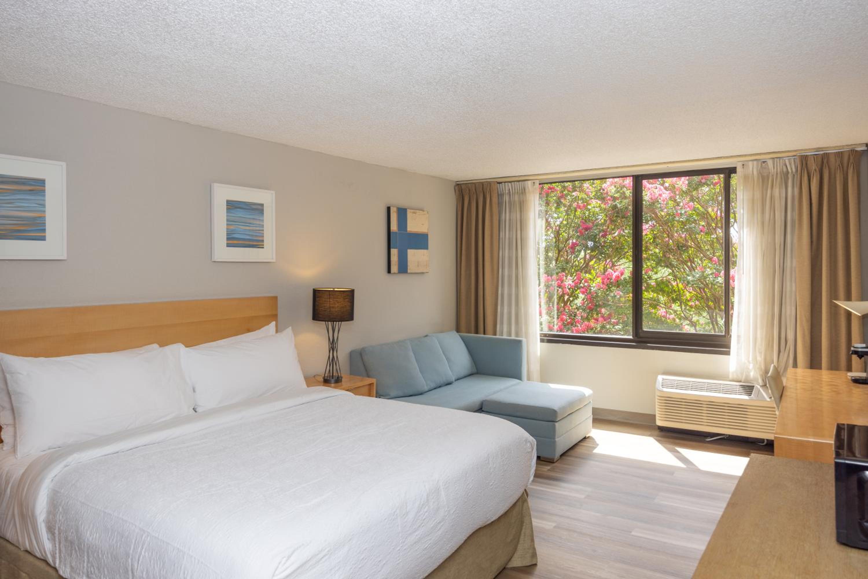 King Room photo 1