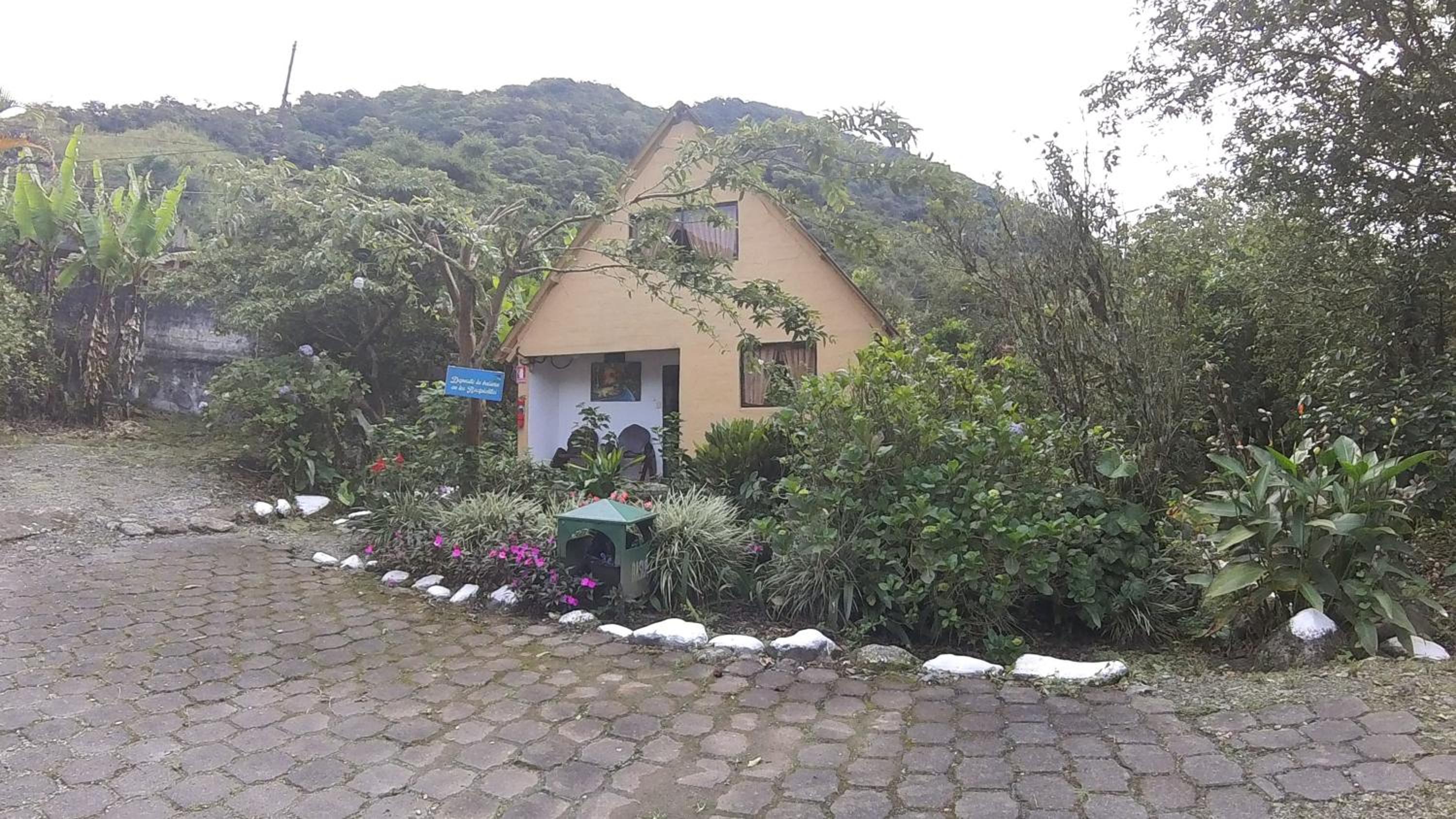Three-Bedroom Chalet photo 3