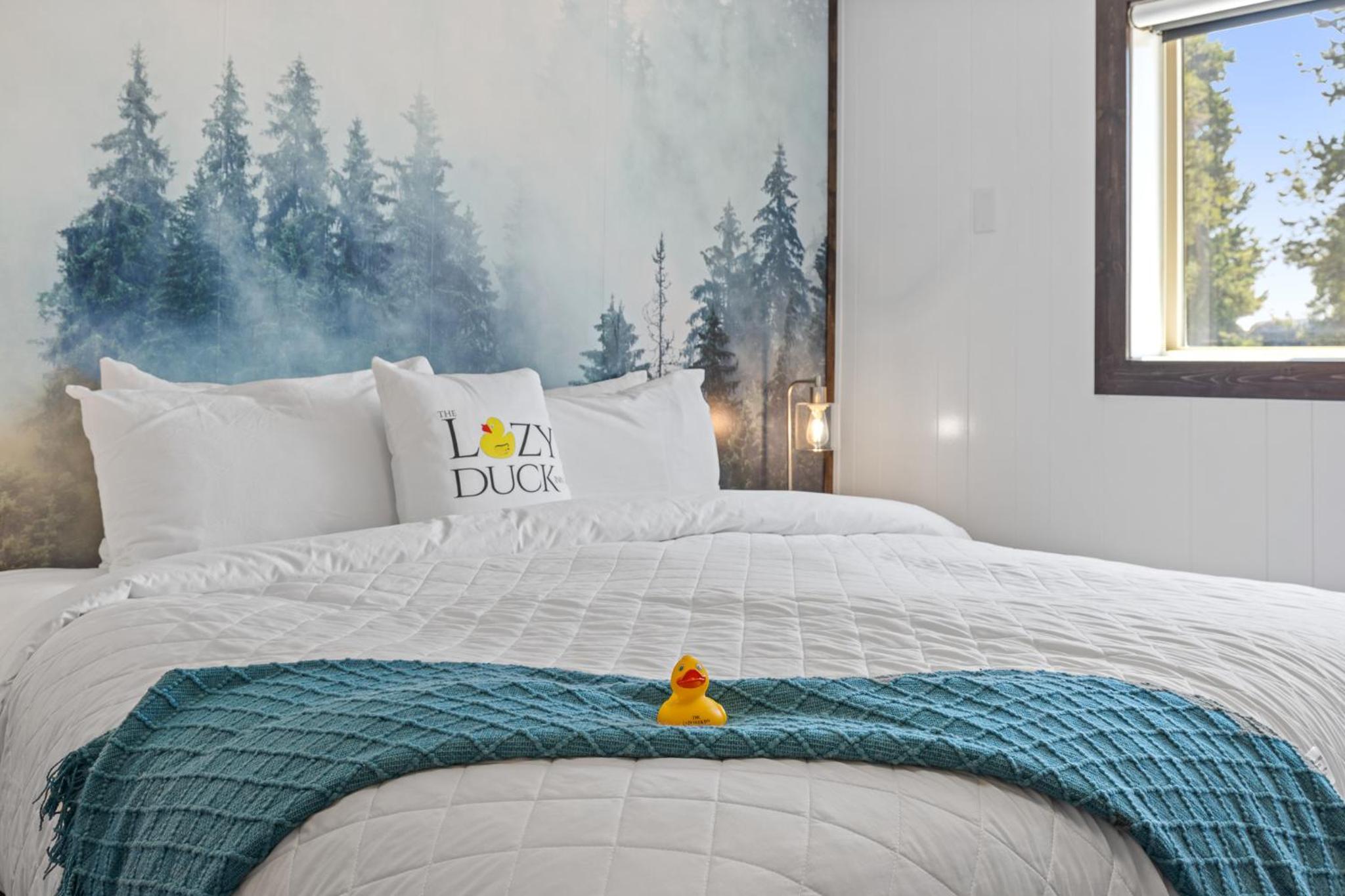 Superior King Room photo 3