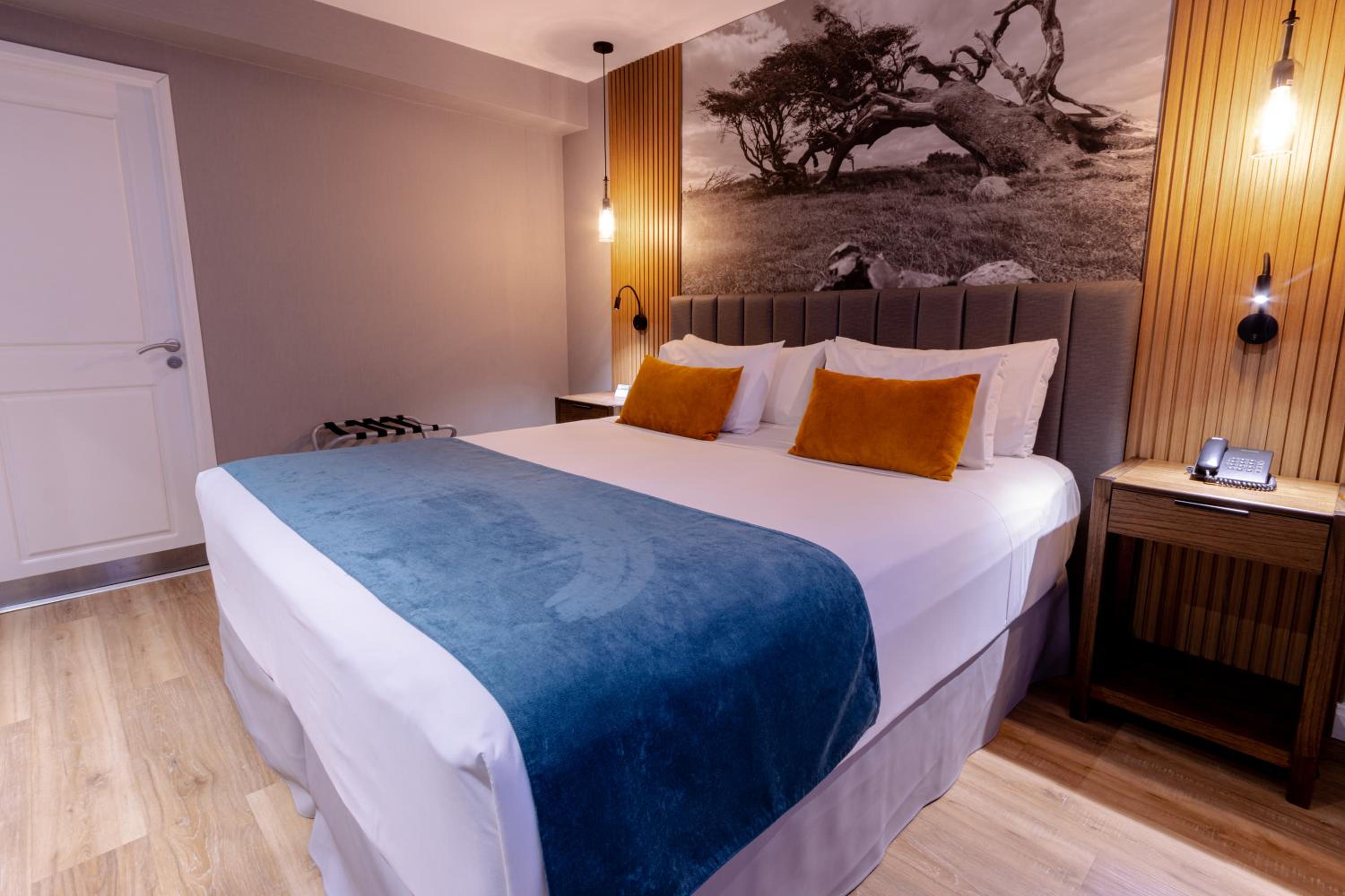 Standard Double or Twin Room thumbnail 5