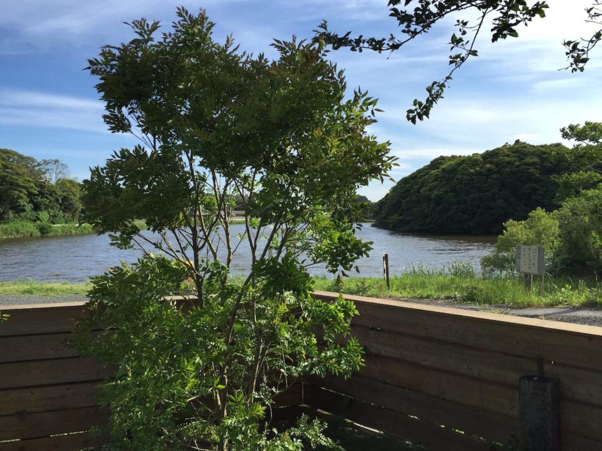 Vacation Home - Photo 11