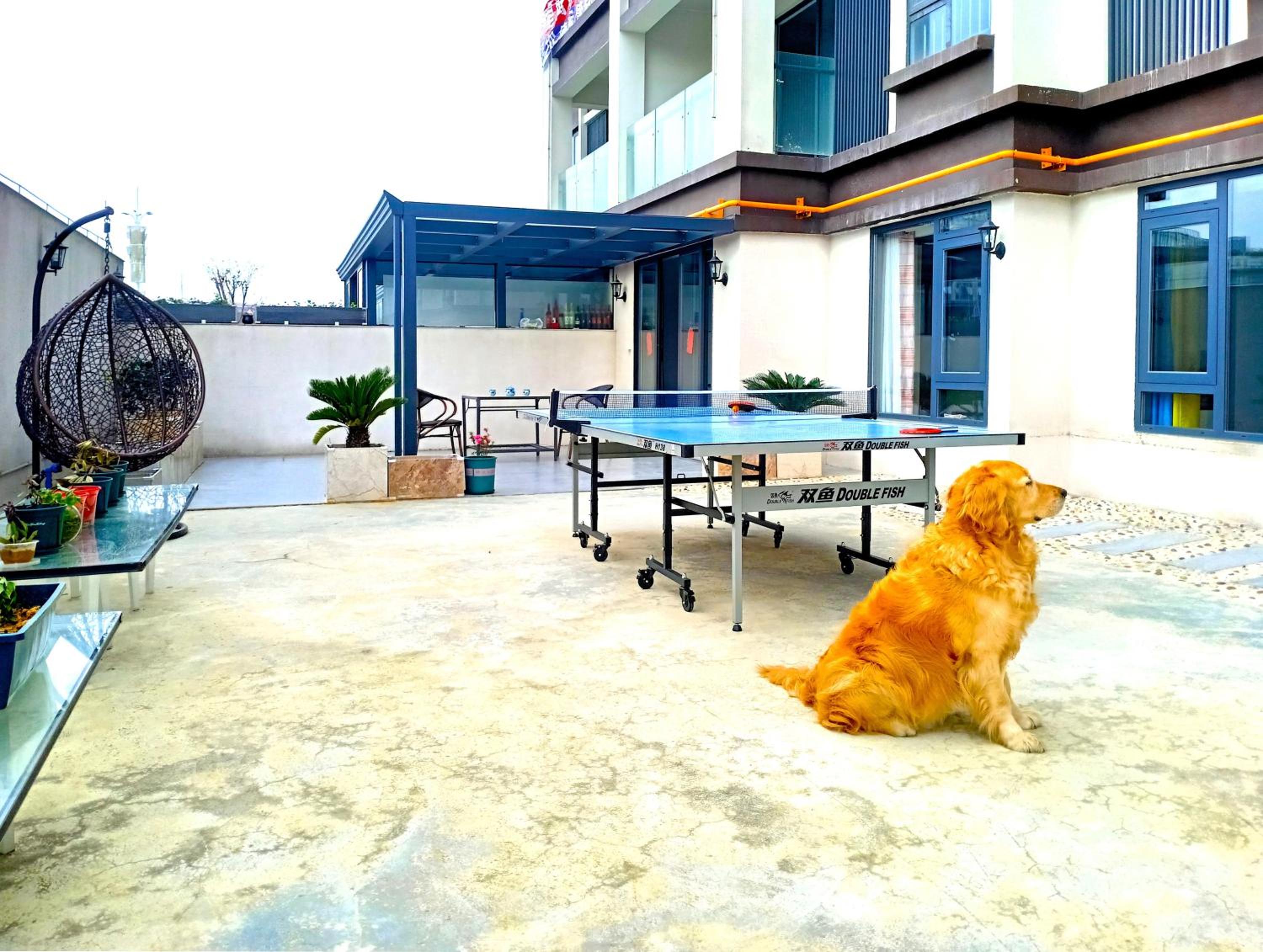 Apartment with Terrace photo 2