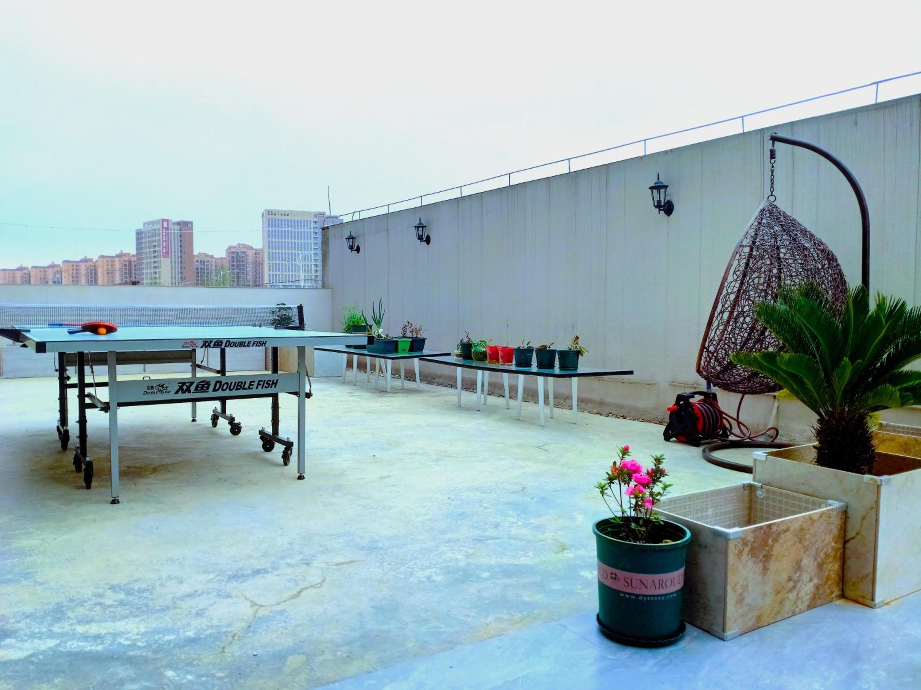 Apartment with Terrace photo 3