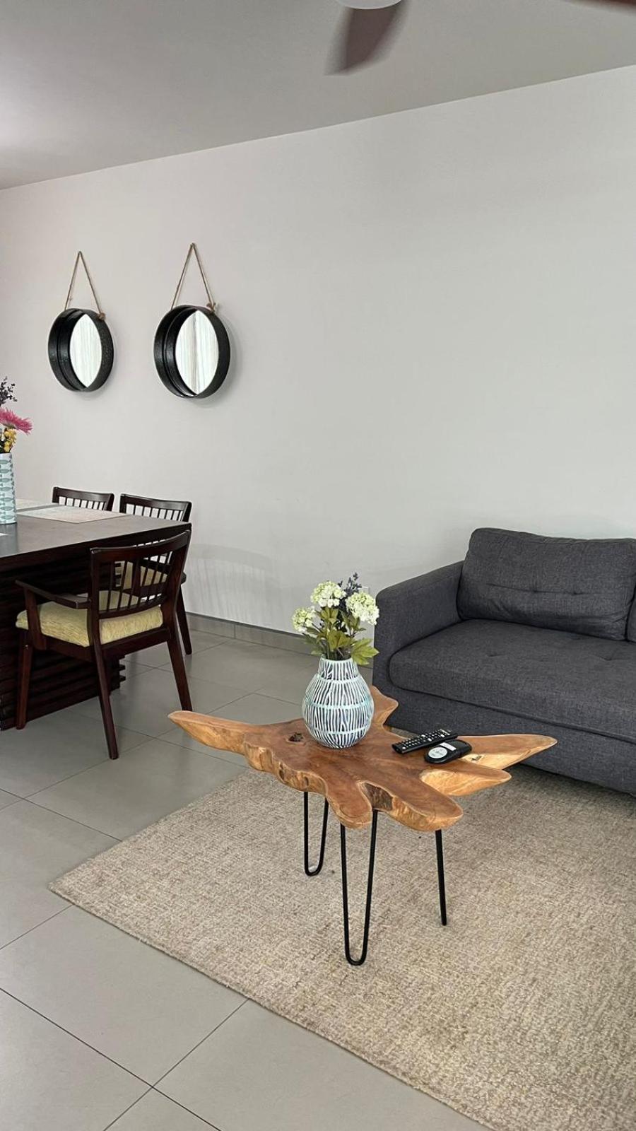 One-Bedroom House photo 3