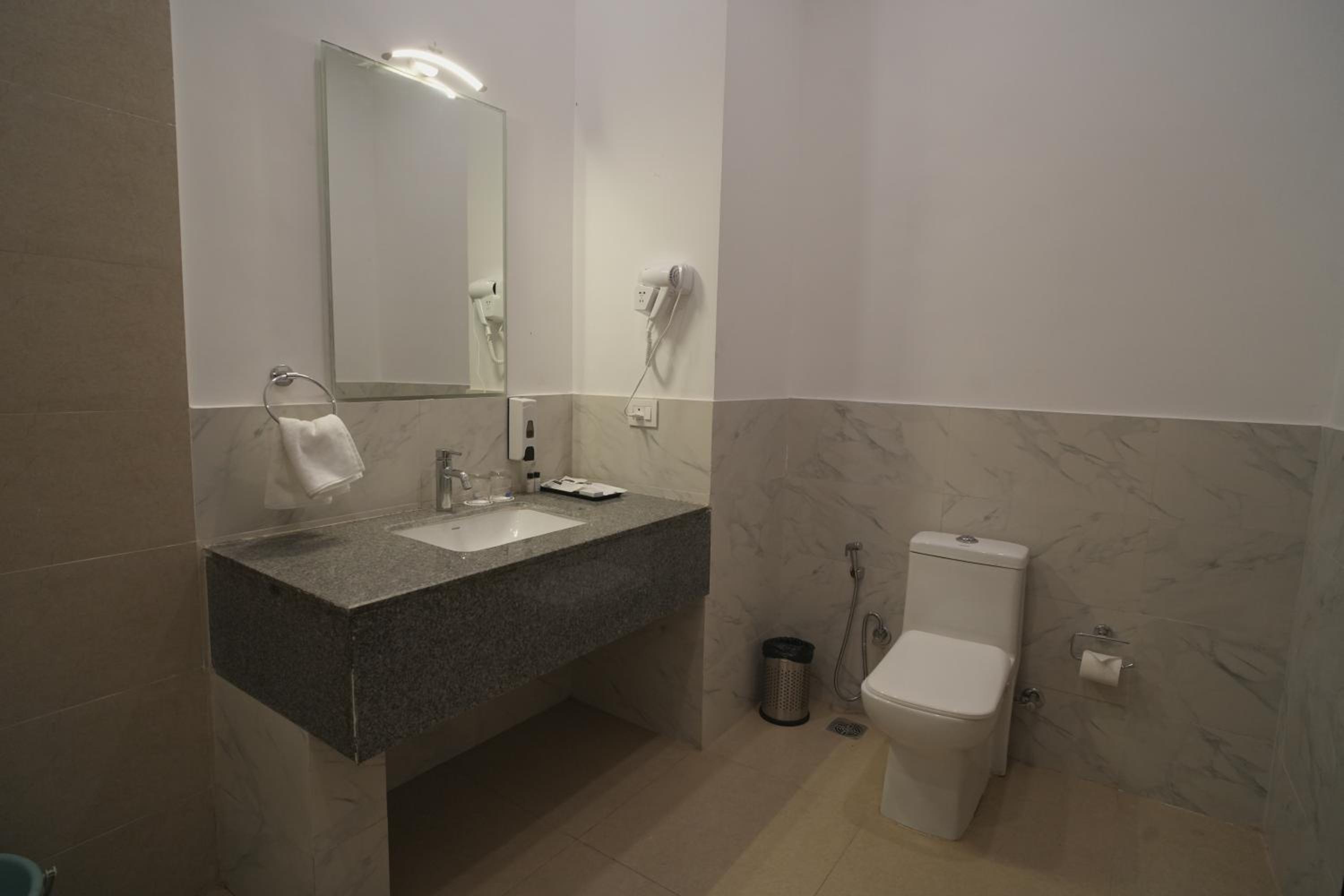 Deluxe Double Room photo 3
