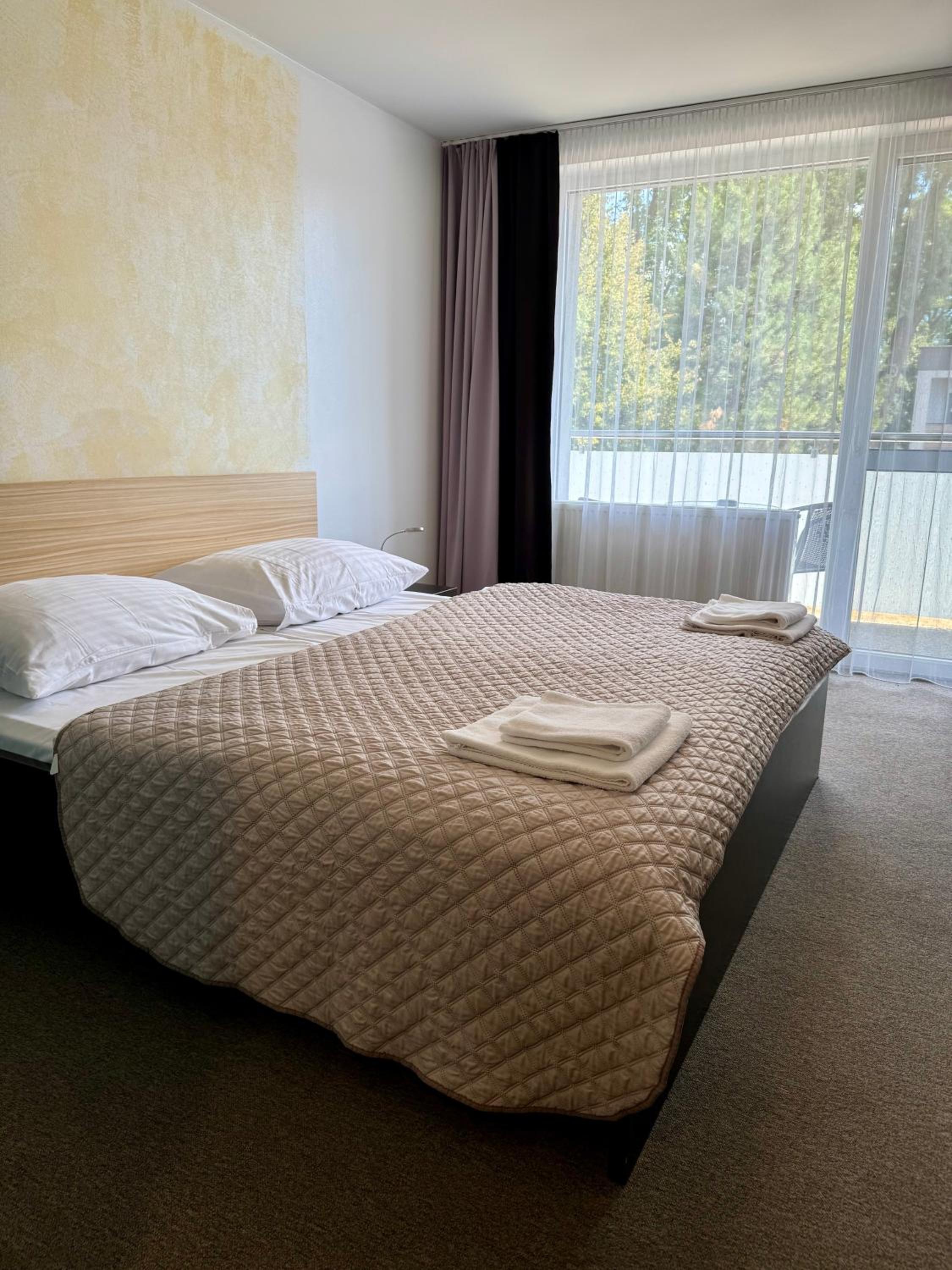 Double Room with Balcony photo 3