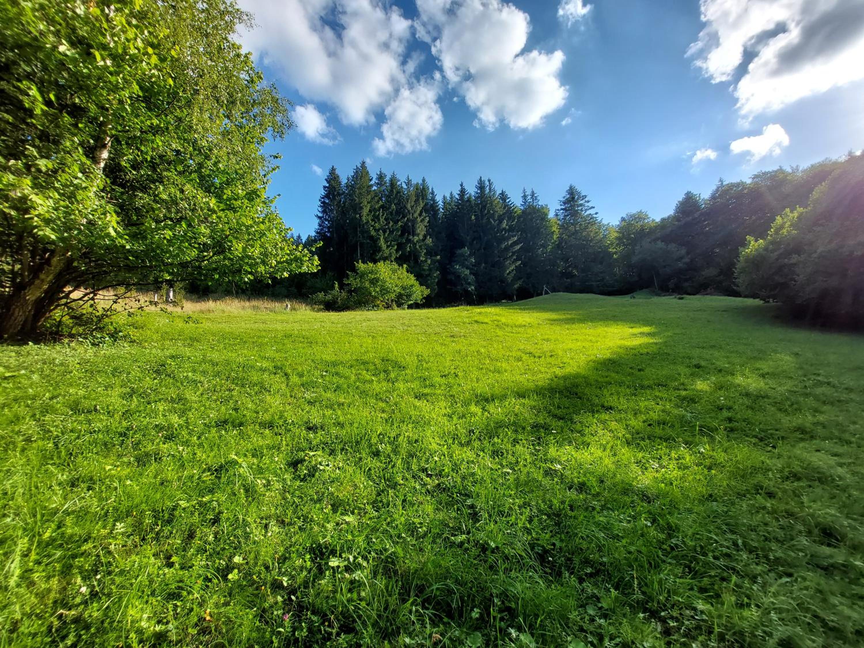 Empty Lot