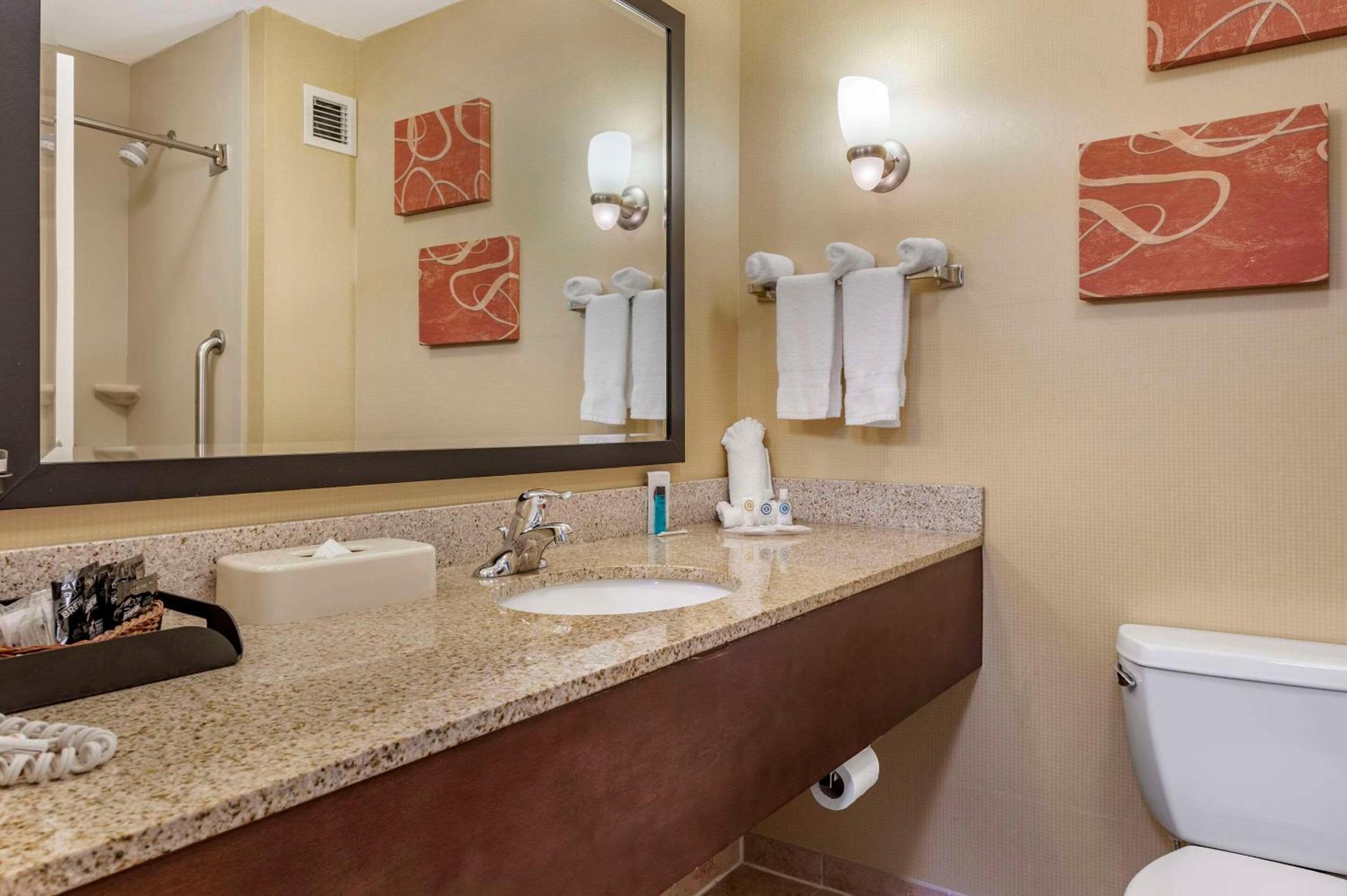 King Suite - Non-Smoking - Photo 8