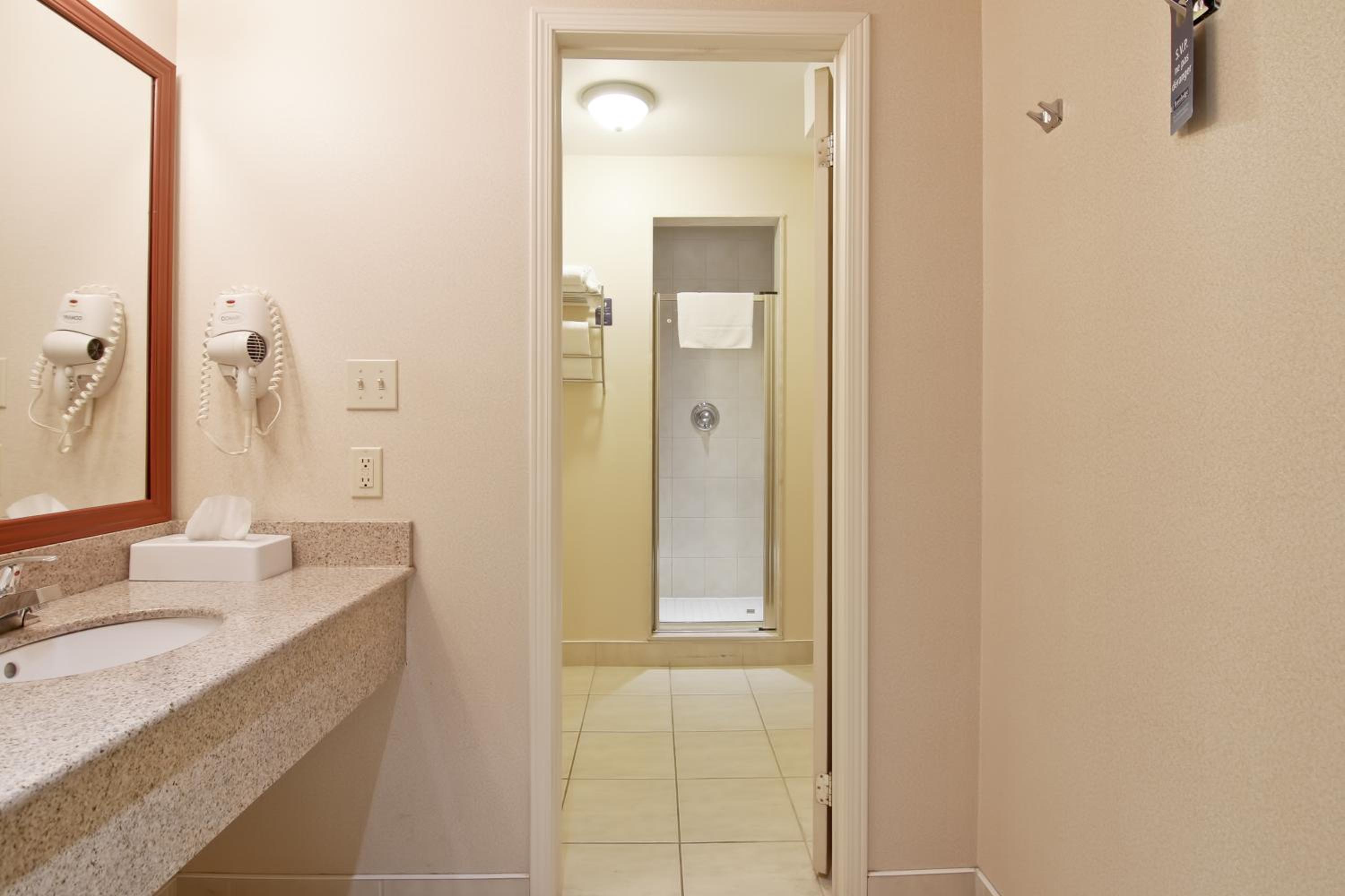 Deluxe King Suite - Photo 4