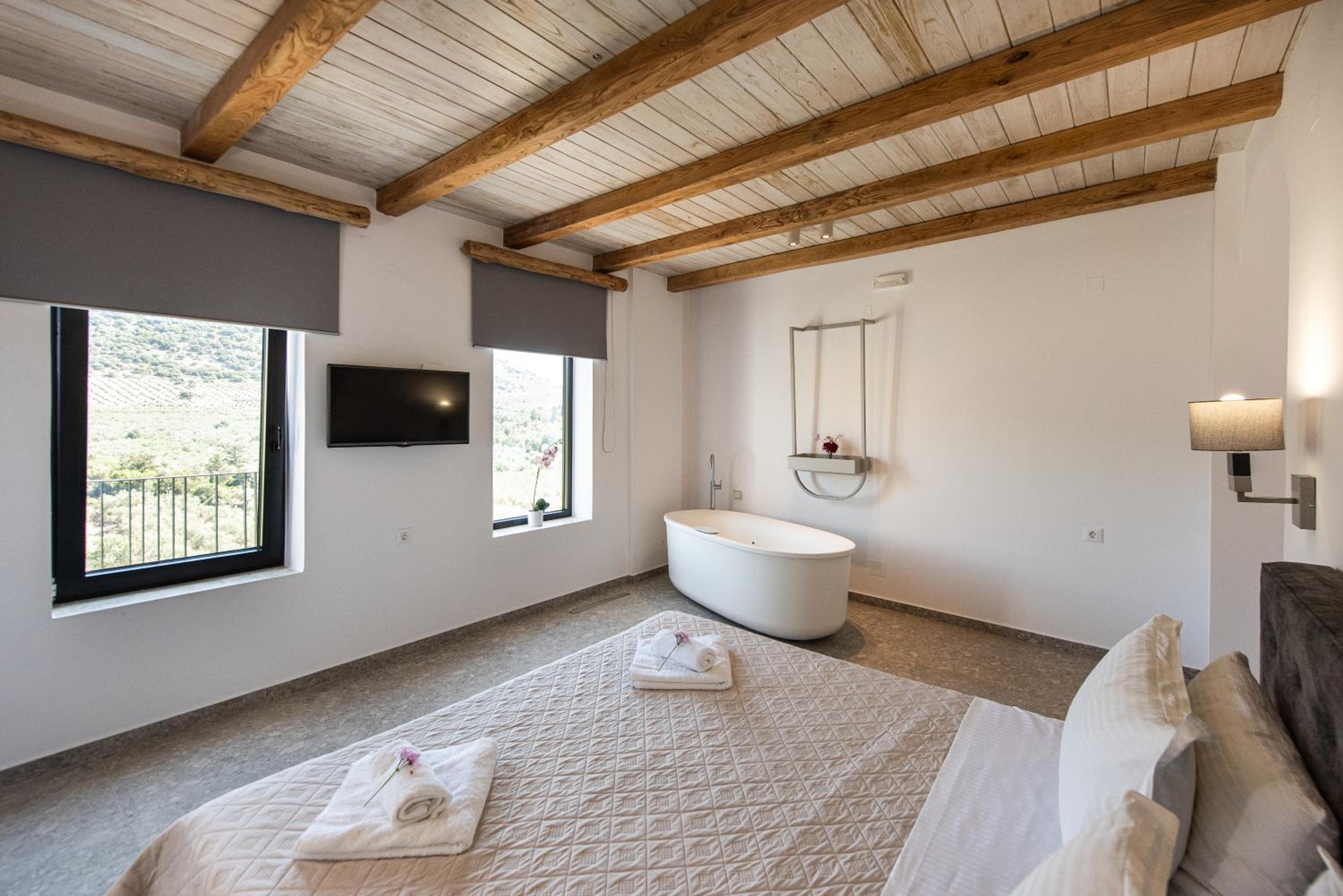 Suite with Mountain View