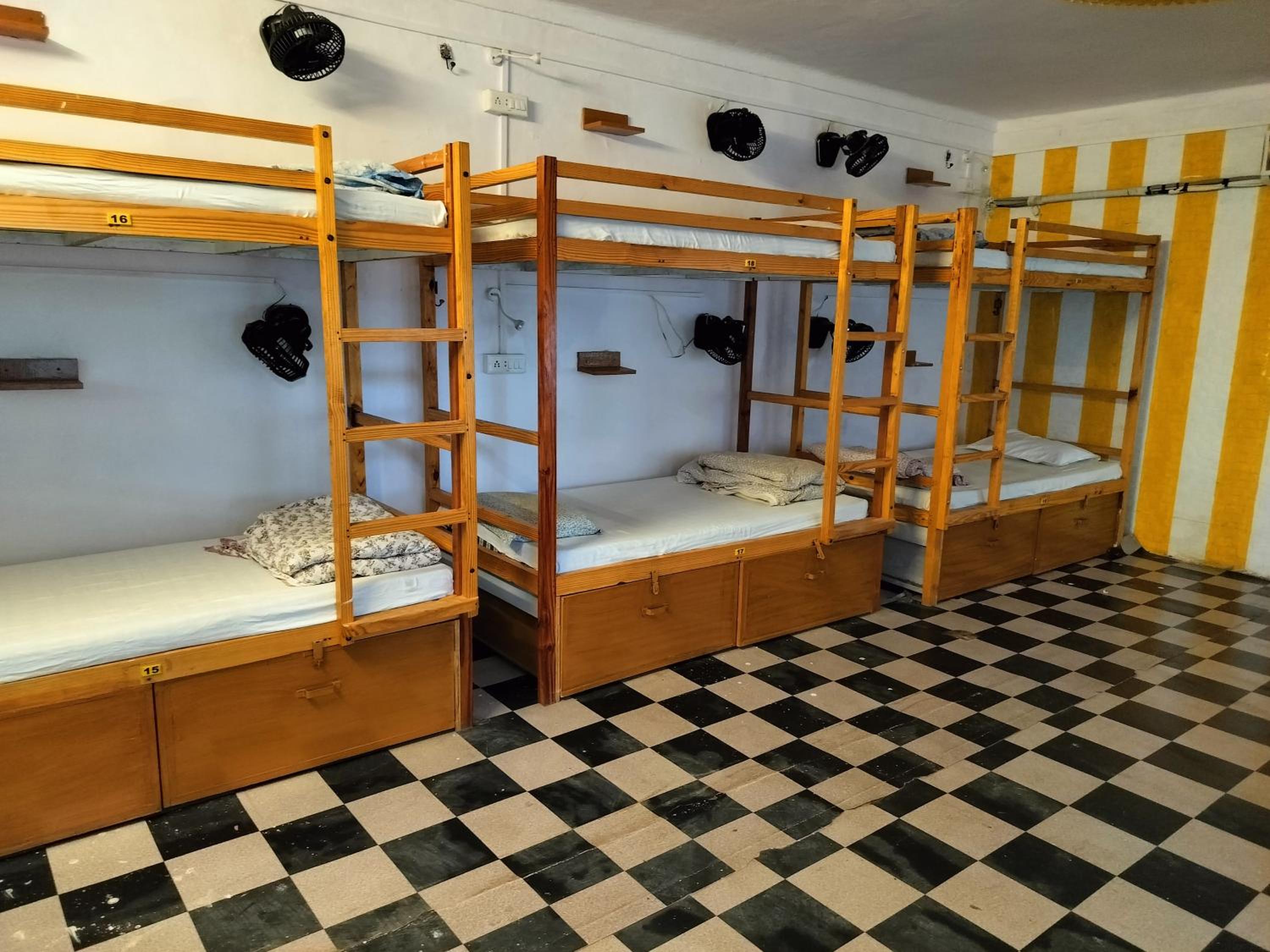 Bunk Bed In Mixed Dormitory Room photo 1