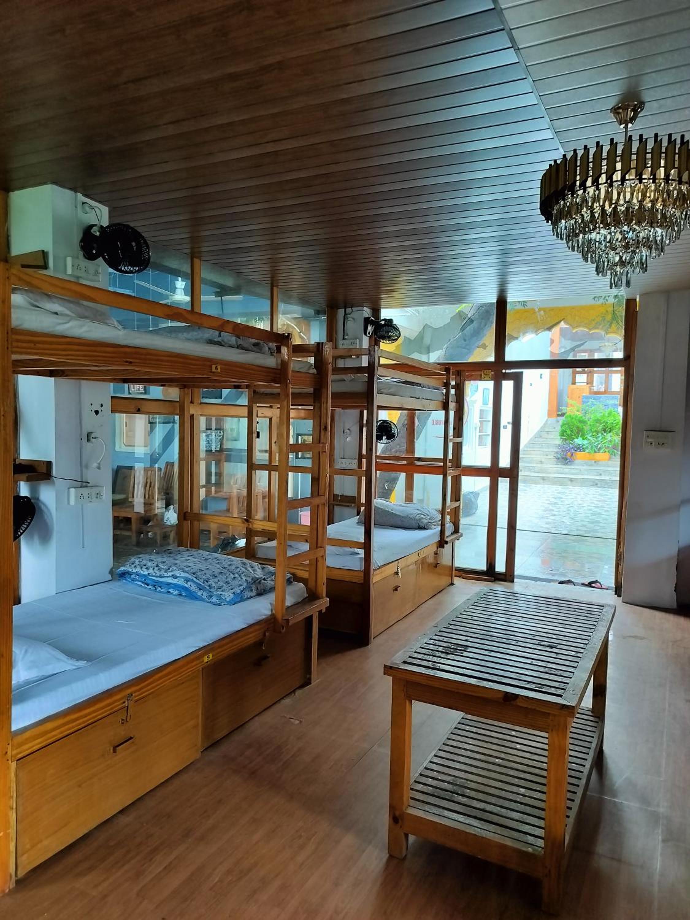 Single Bed In Mixed Dormitory Room photo 1