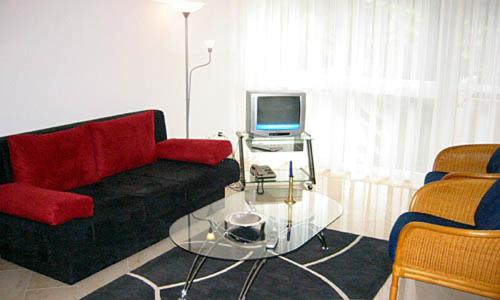 One-Bedroom Apartment photo 3
