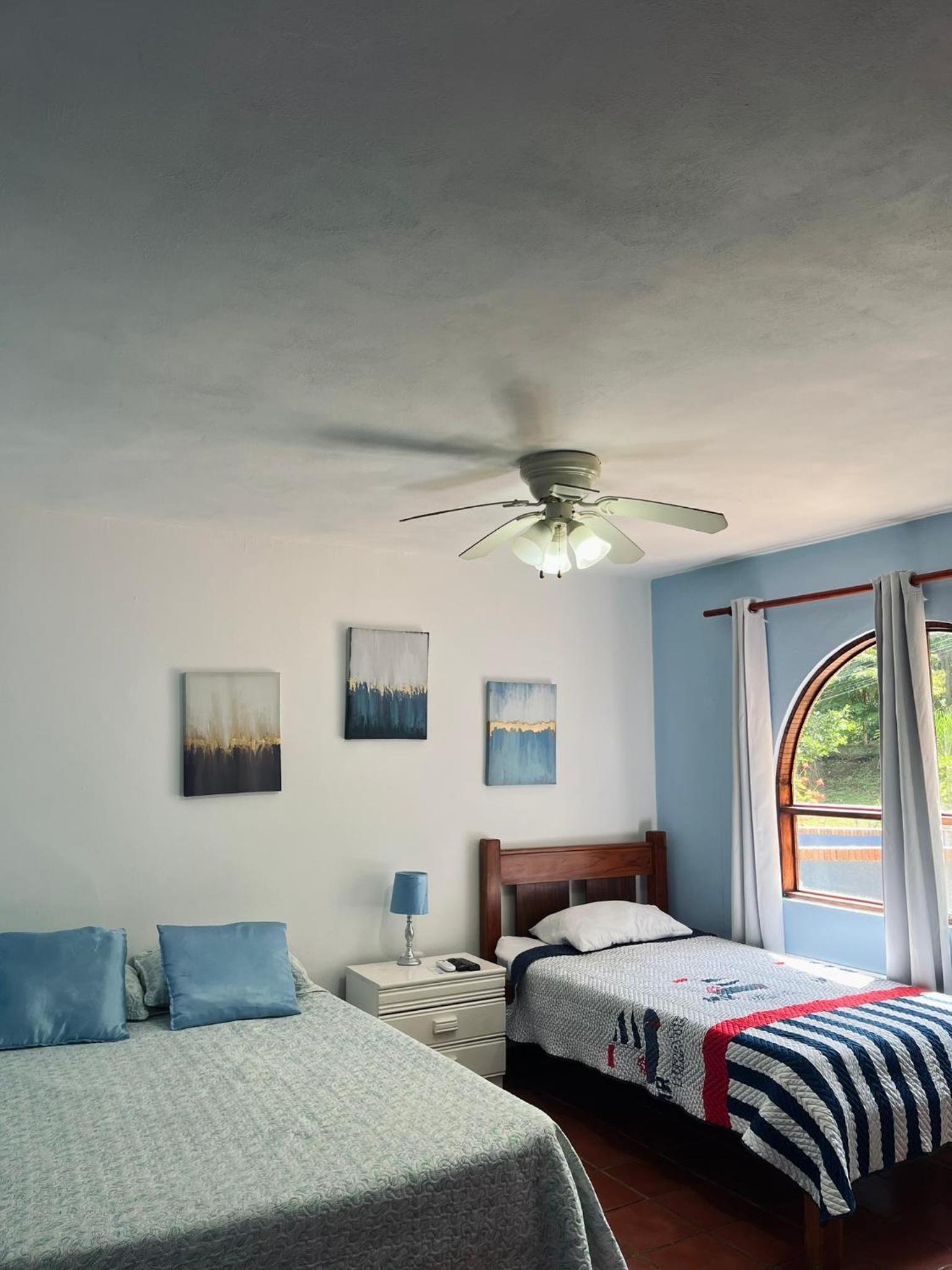 Twin Room photo 2
