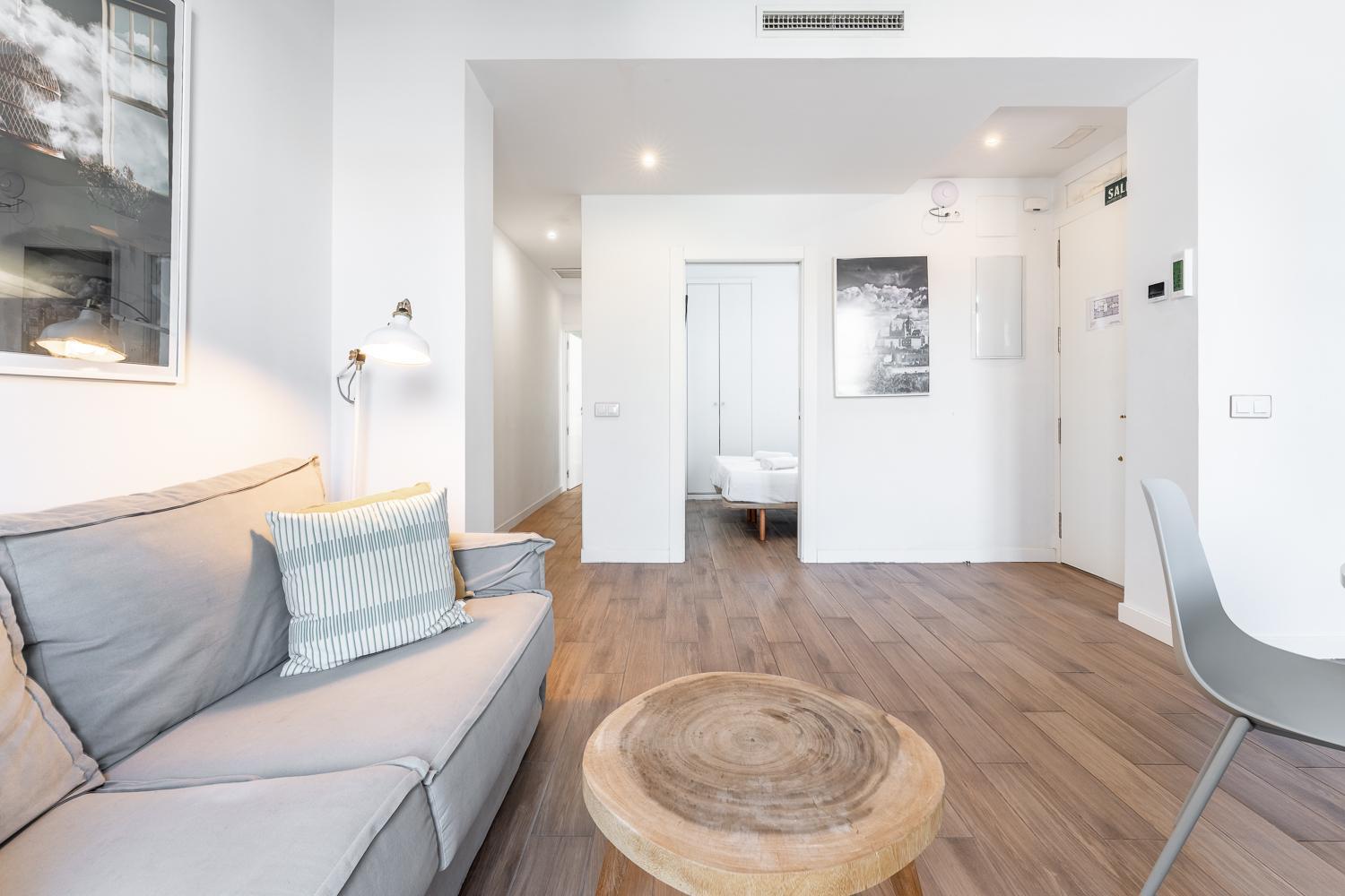 Apartamento Superior con Balcón