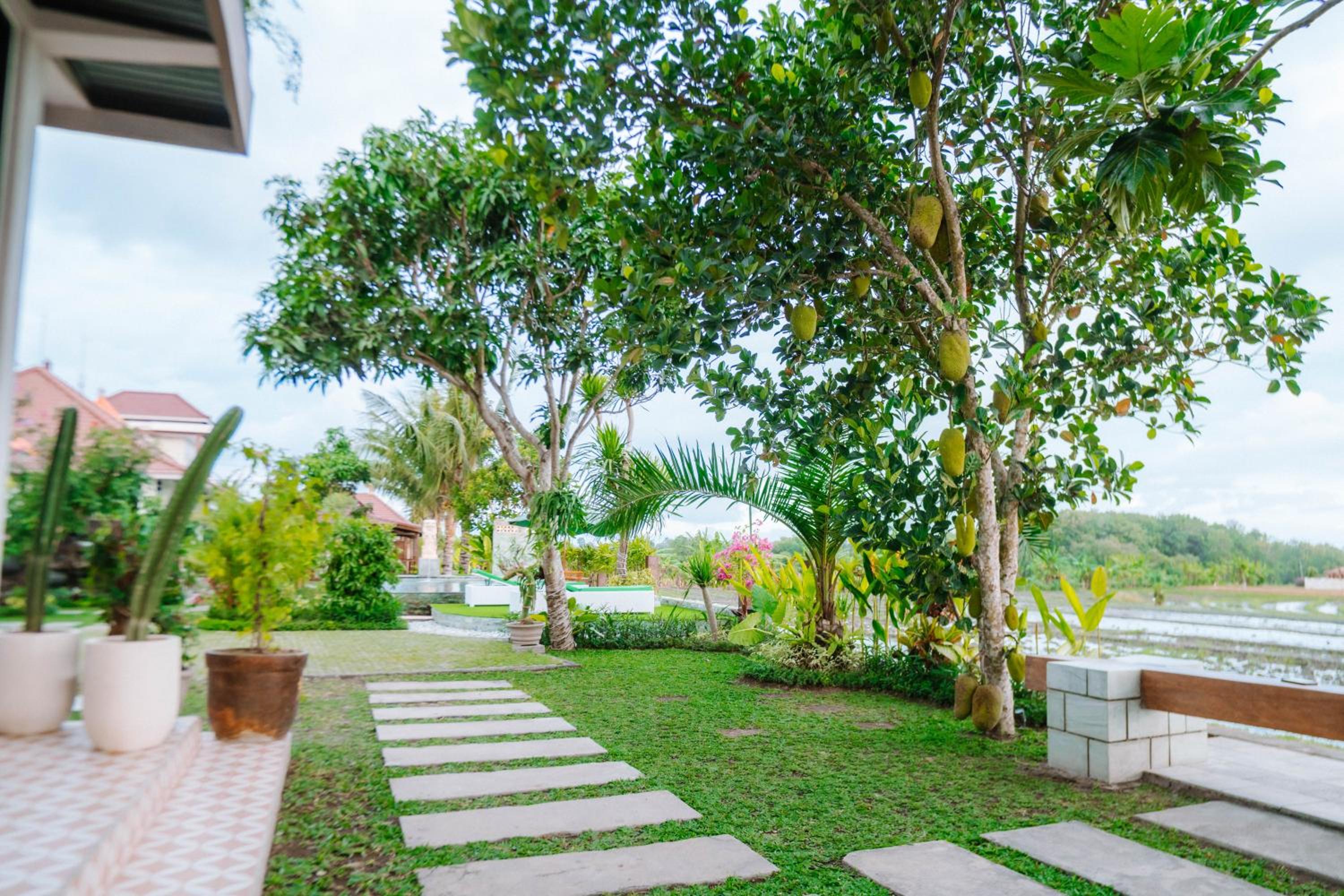 Deluxe Double Room with Balcony and Sea View photo 2