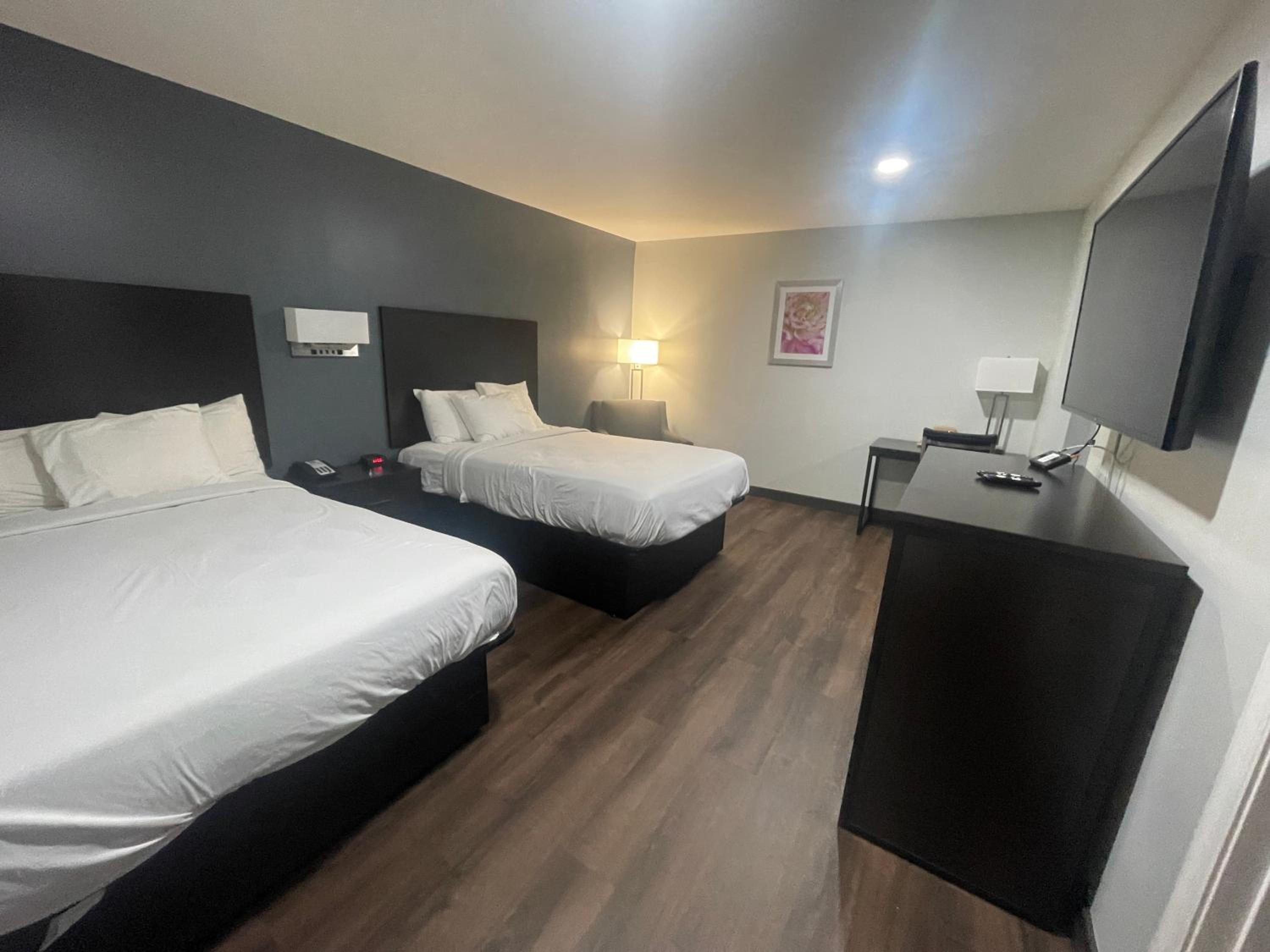 Premium Quadruple Room - Non-Smoking