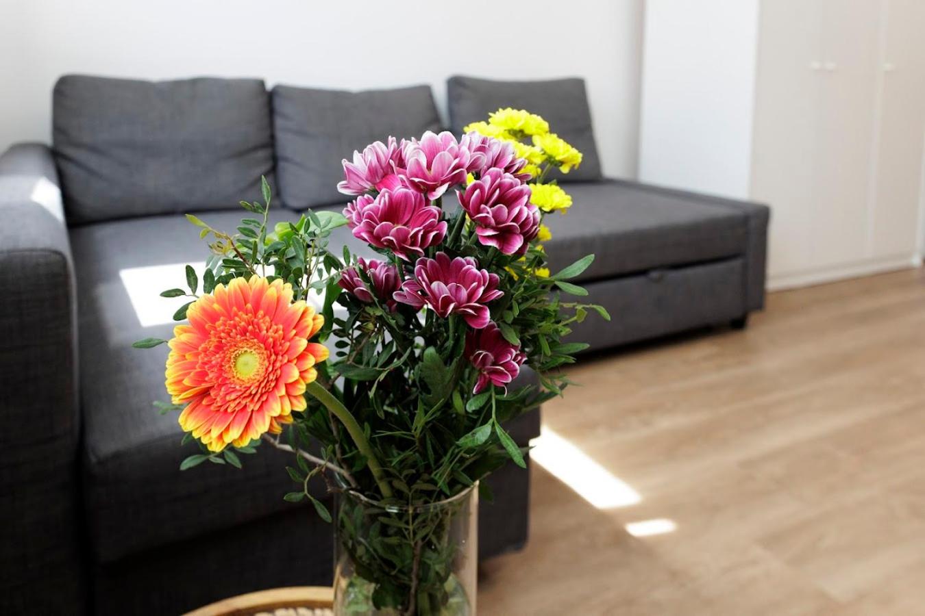 One-Bedroom Apartment - Photo 24