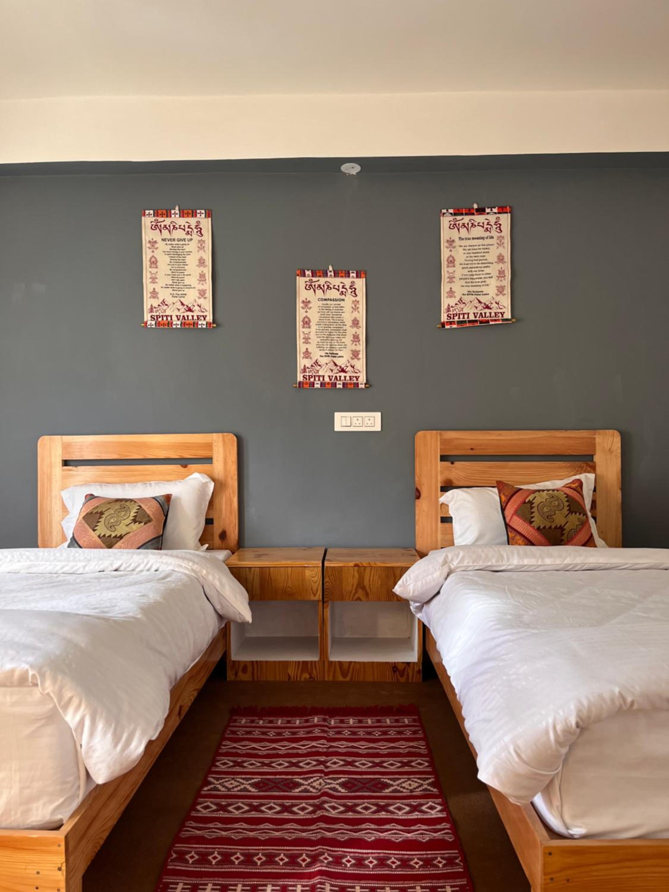 Large Twin Room photo 1
