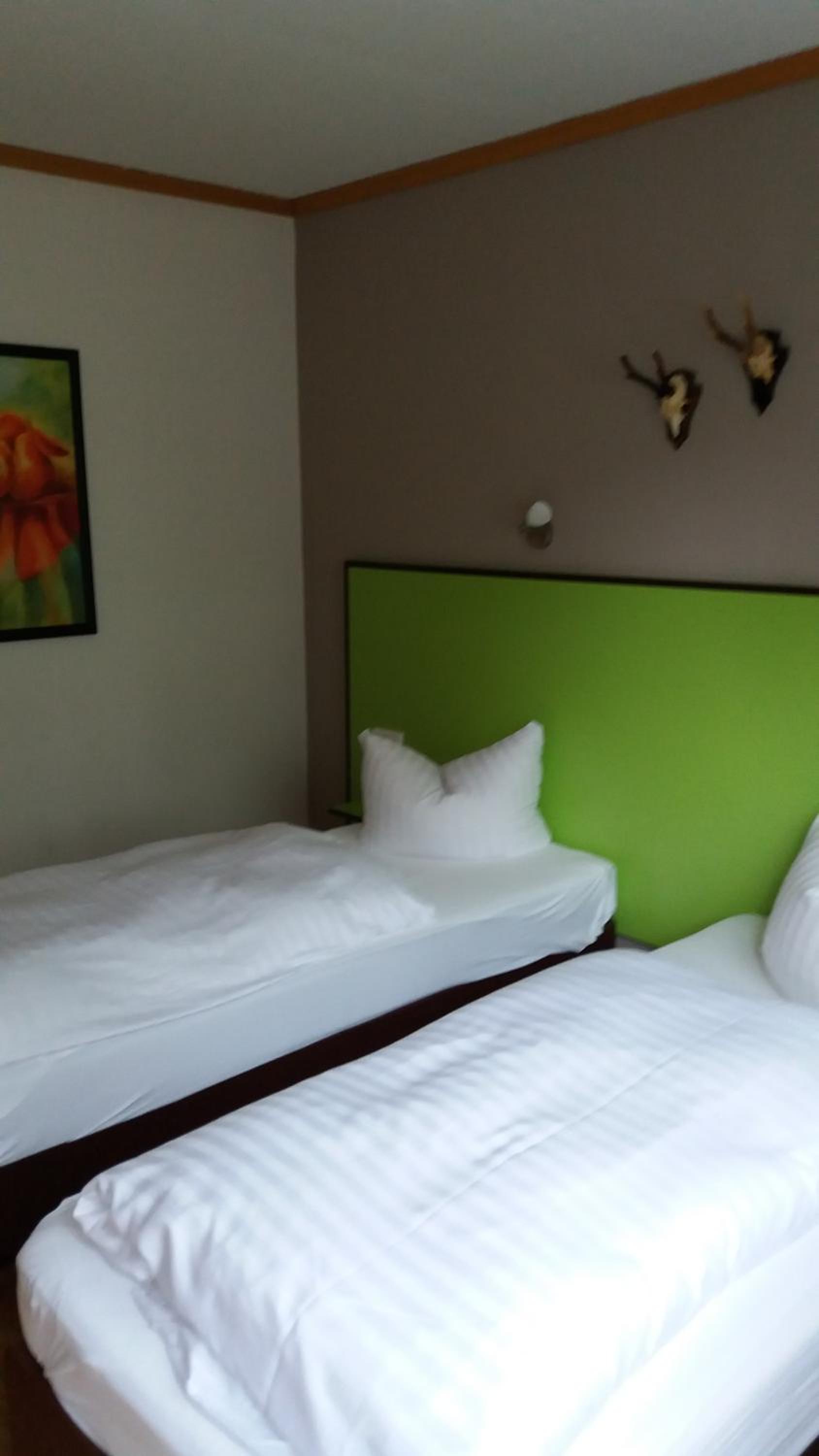 Business Double or Twin Room photo 2