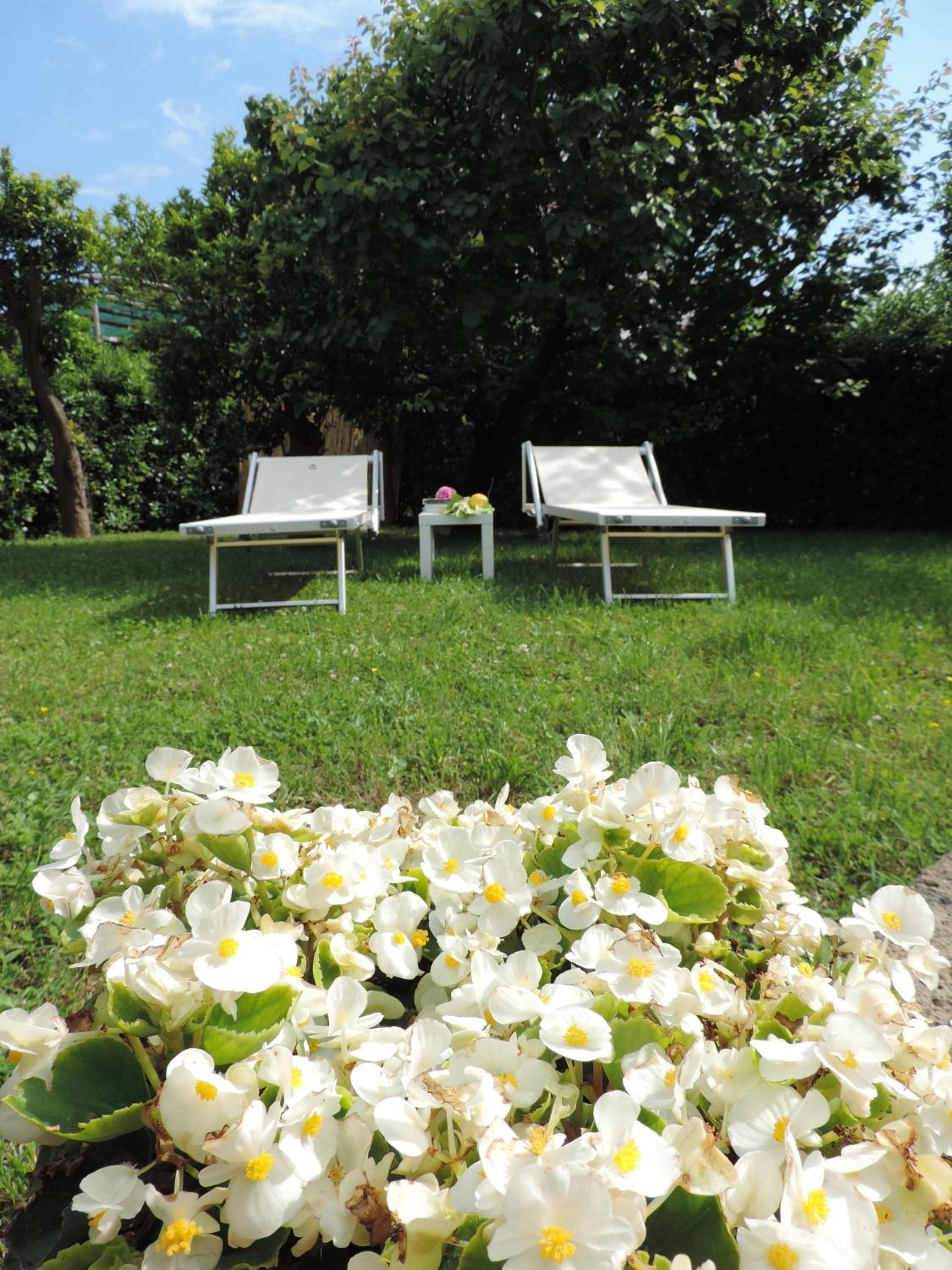 Apartment with Garden View - Photo 5
