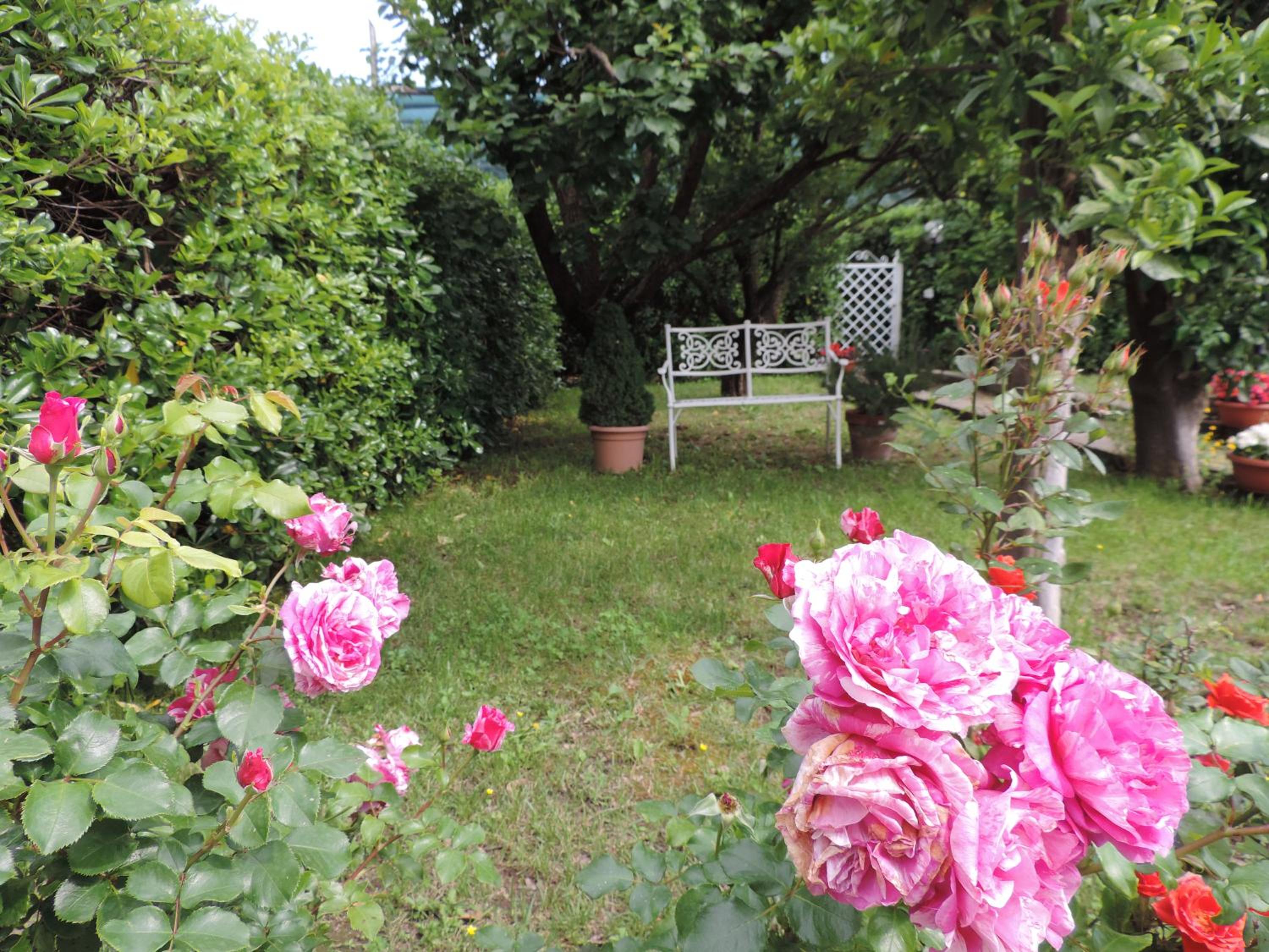 Apartment with Garden View - Photo 2