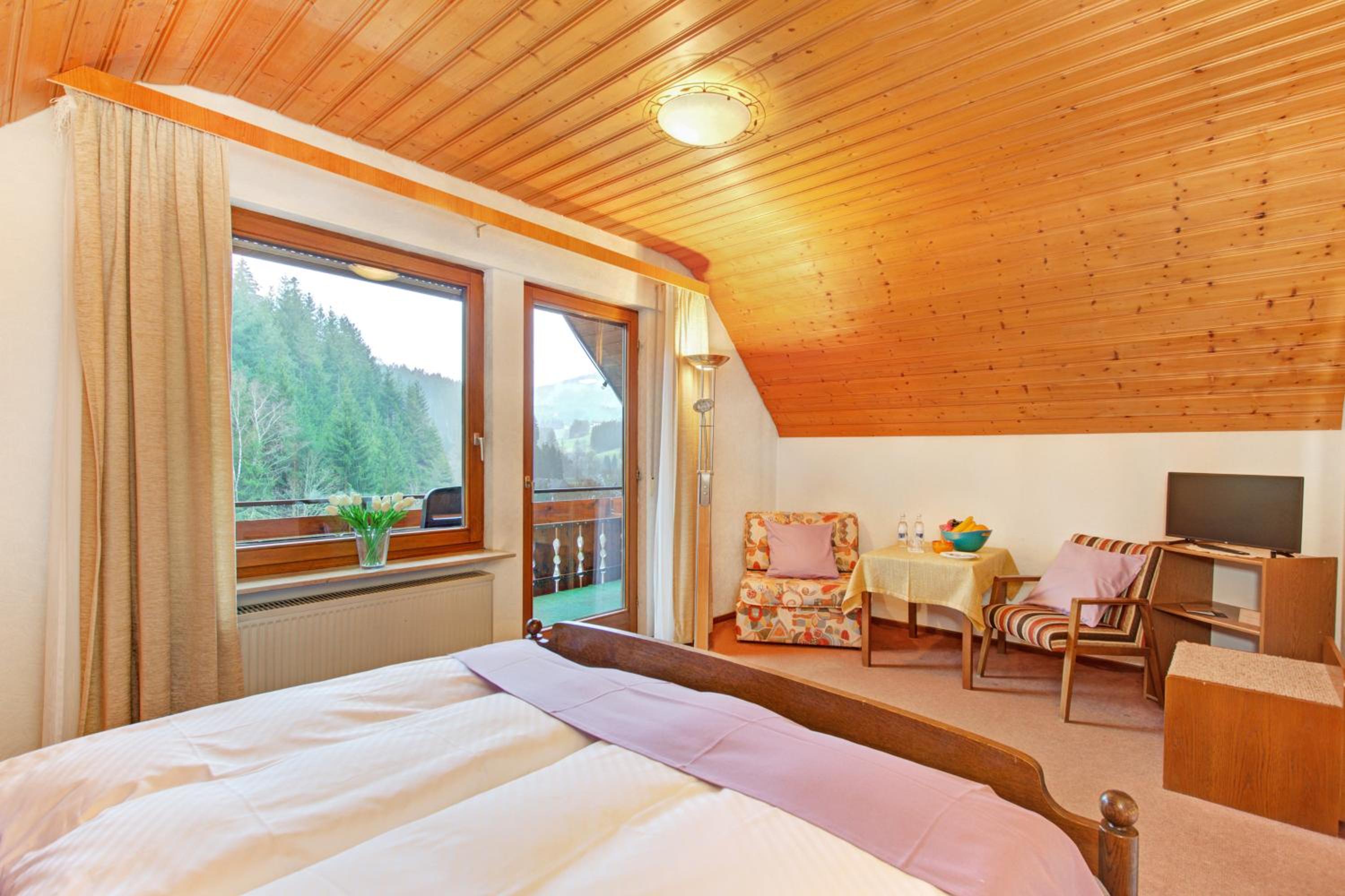 Double Room with Mountain View