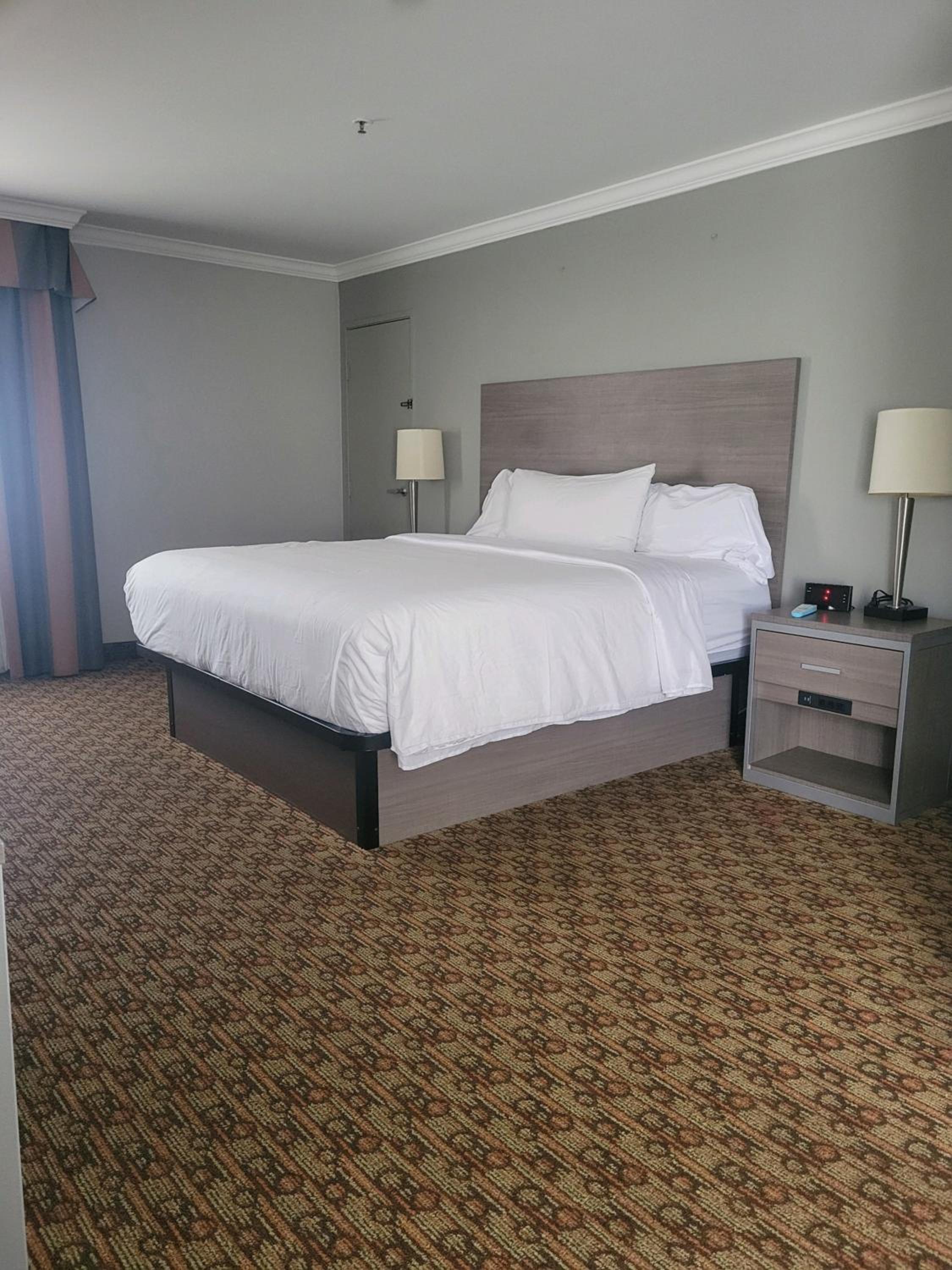 Deluxe King Room - Photo 1