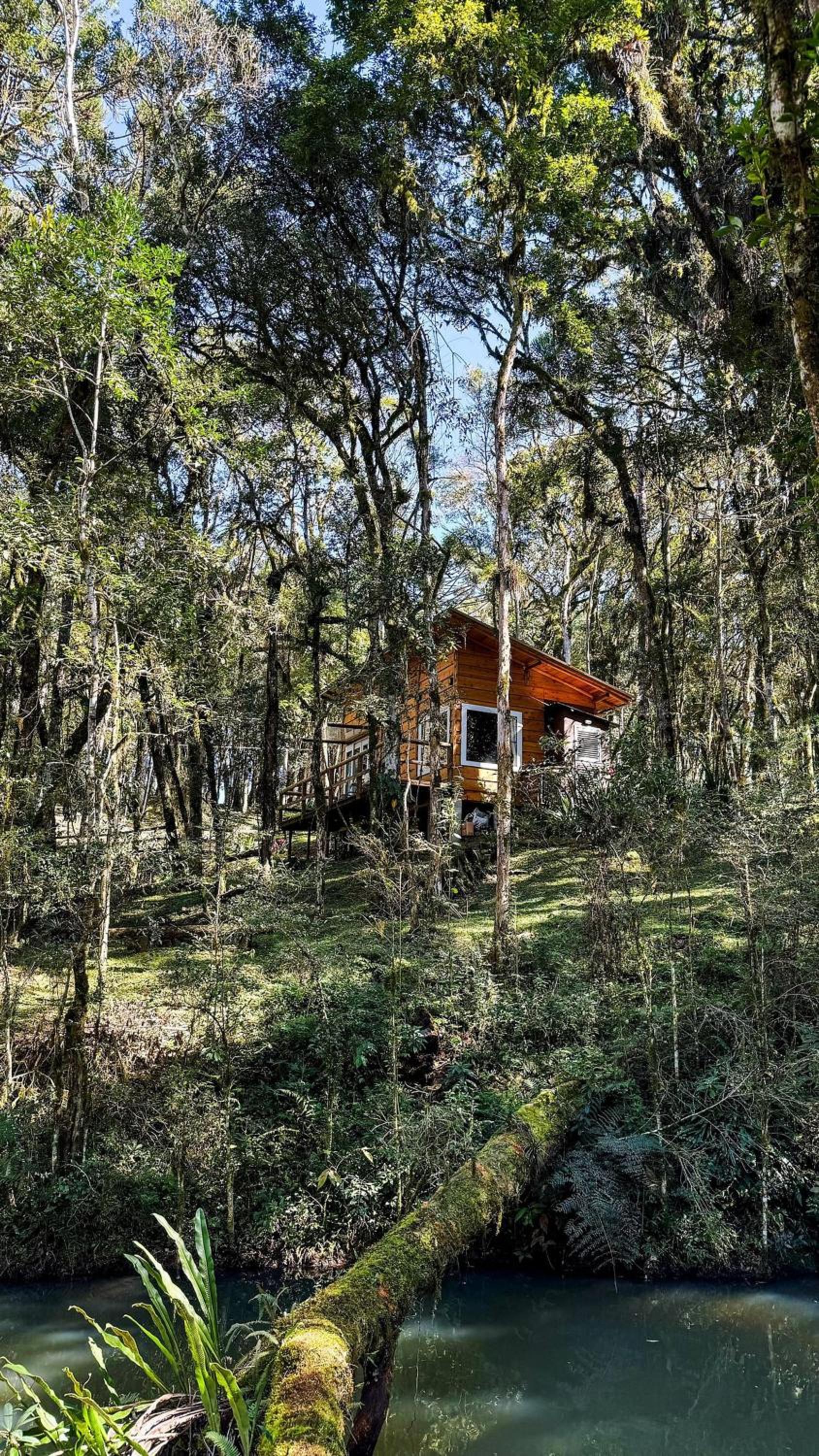 Chalet photo 3