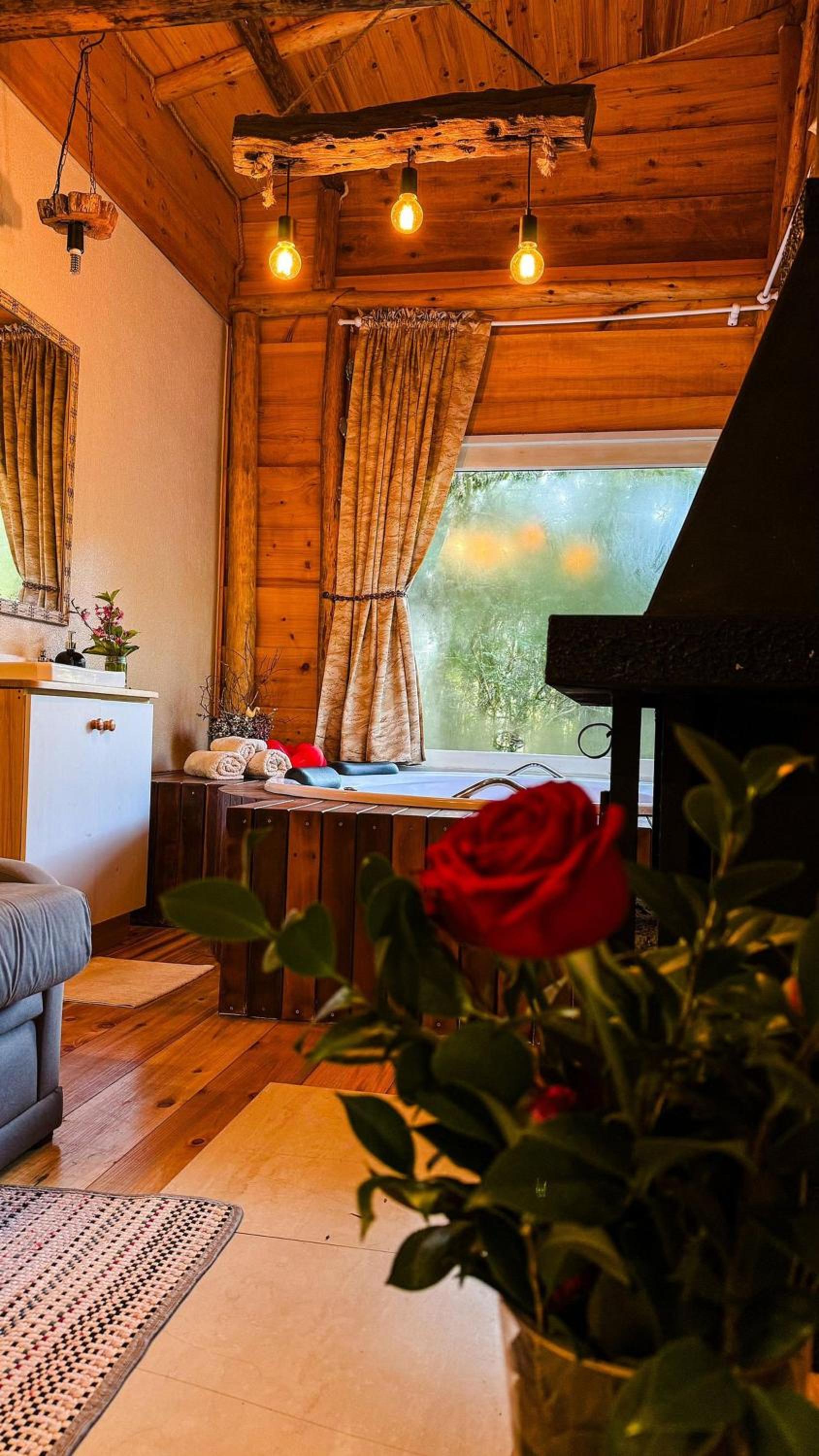 Chalet photo 1