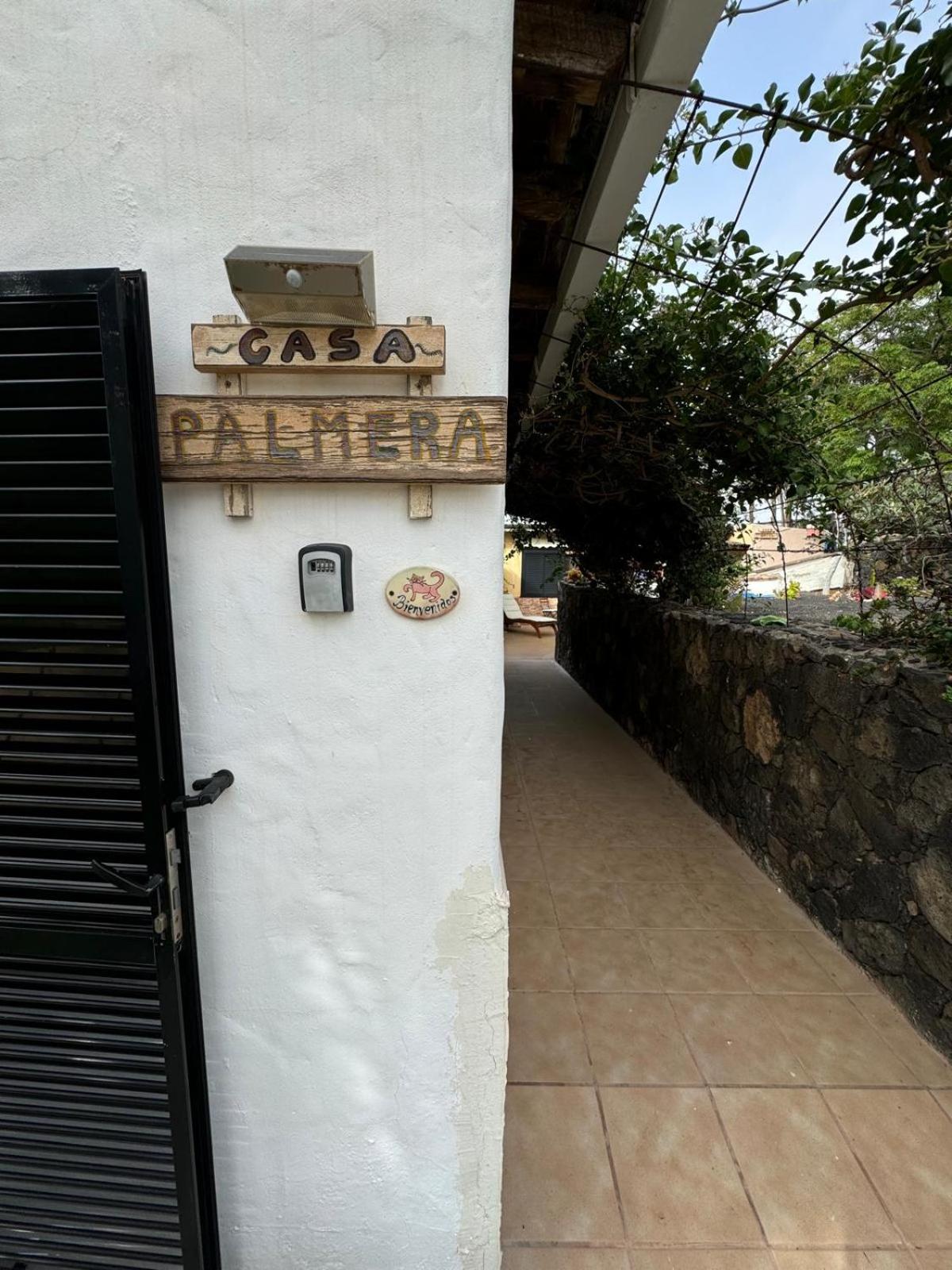 One-Bedroom Apartment (Casa Palmera) photo 2