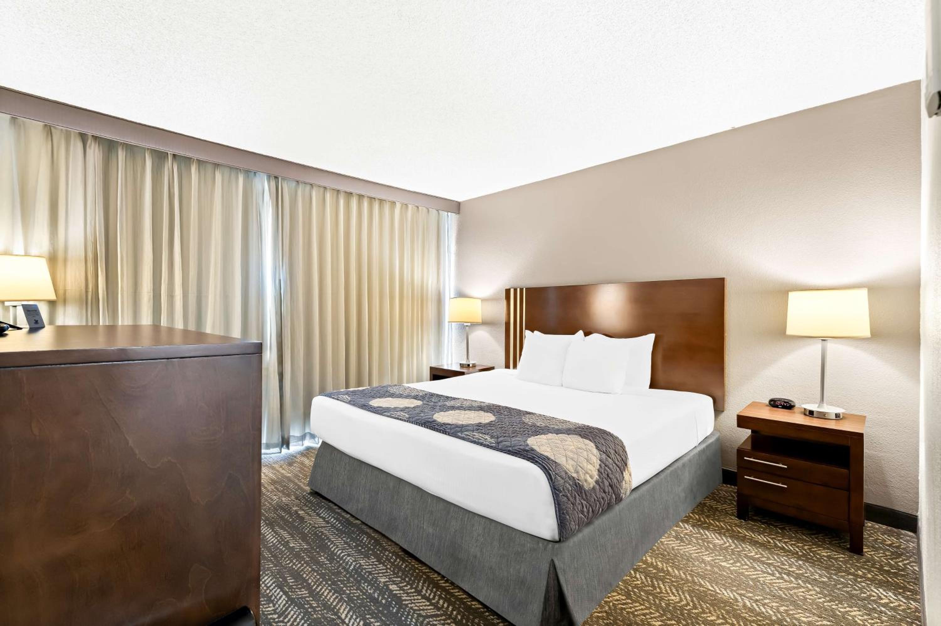 Standard King Room - Photo 3