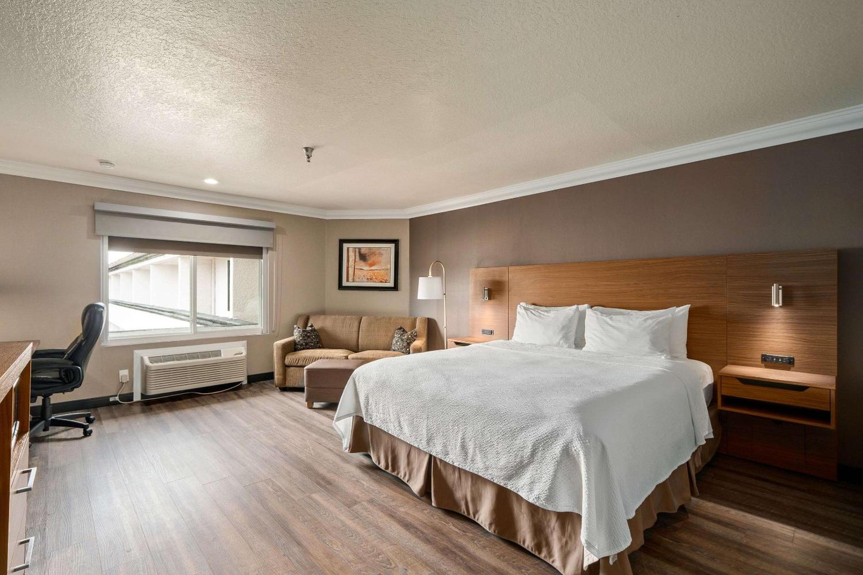 King Room with Sofa Bed - Photo 8