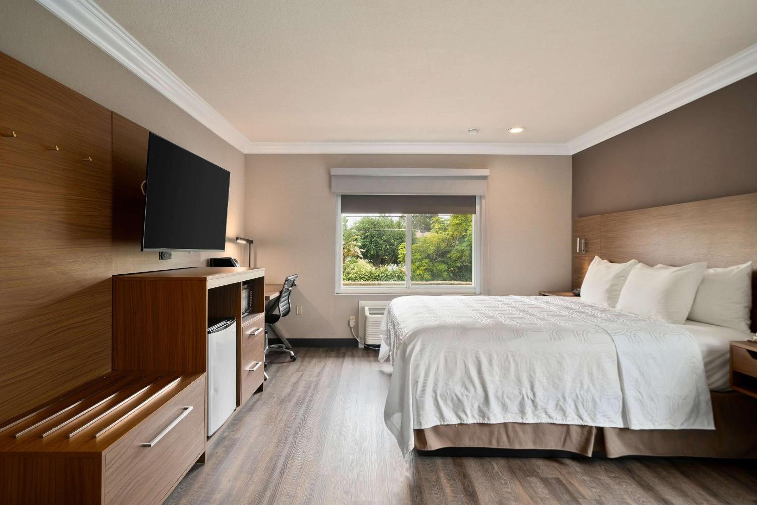 King Room with Sofa Bed - Photo 4