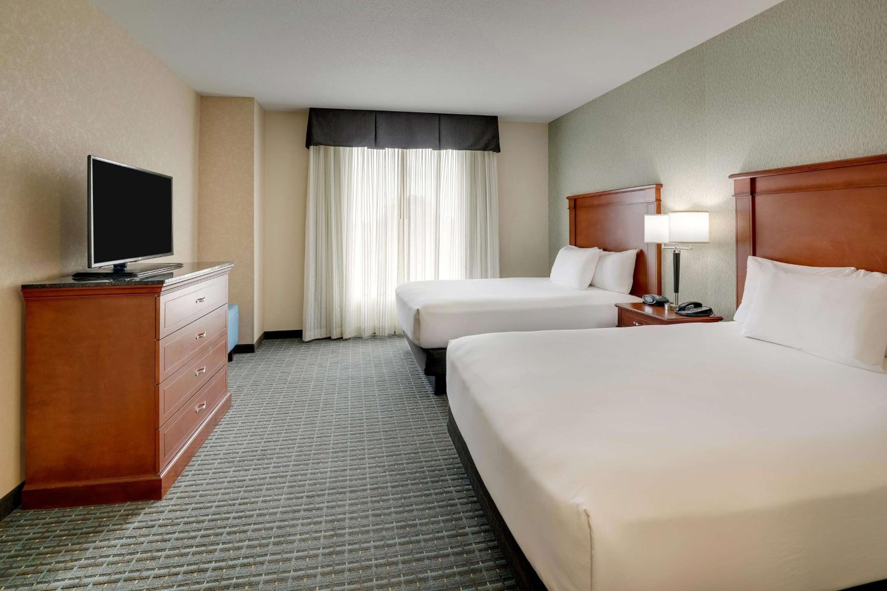 Queen Suite with Sofa Bed - Hearing Accessible photo 3