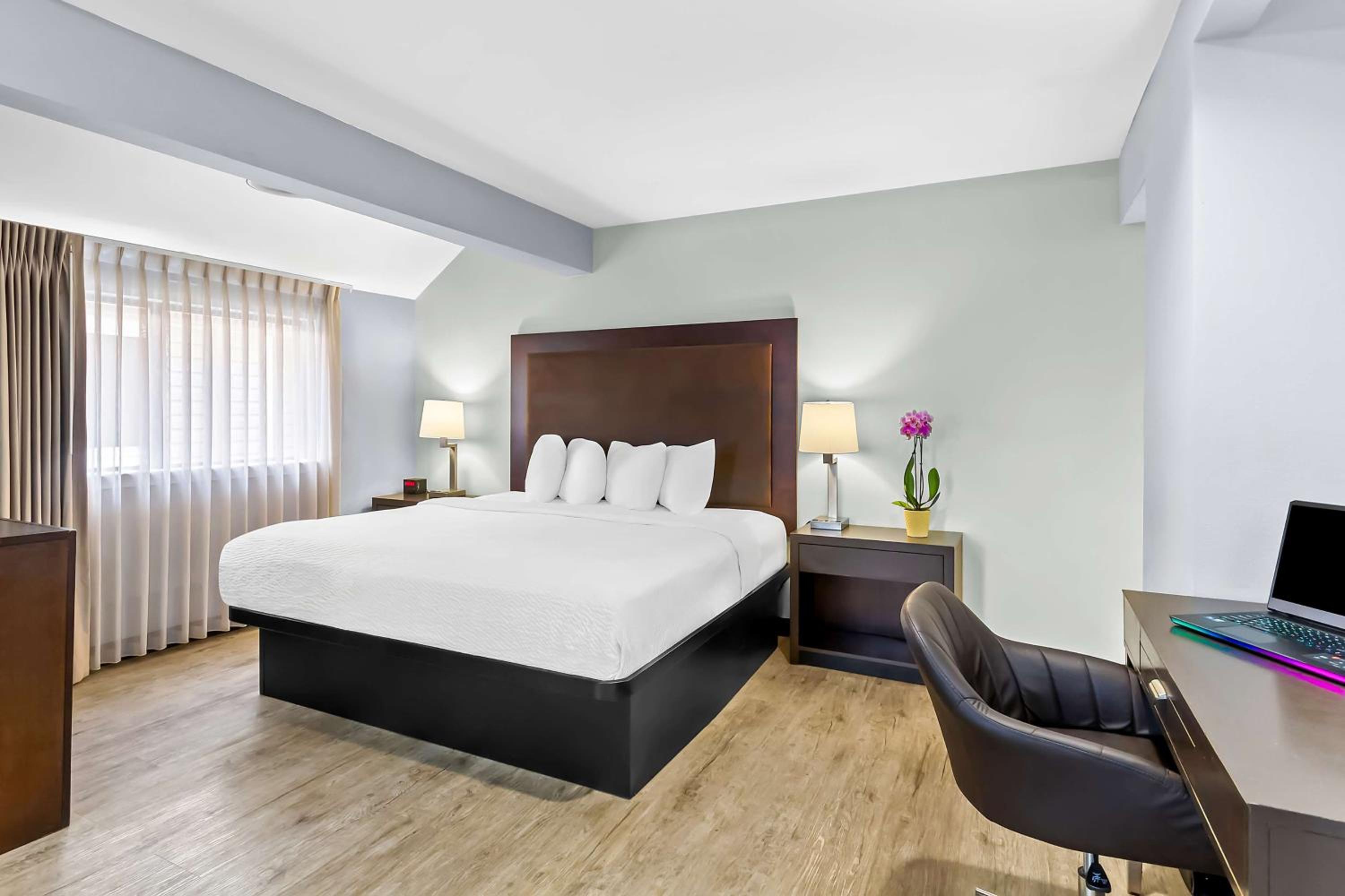 King Suite with Two King Beds and Sofa Bed  - Photo 1